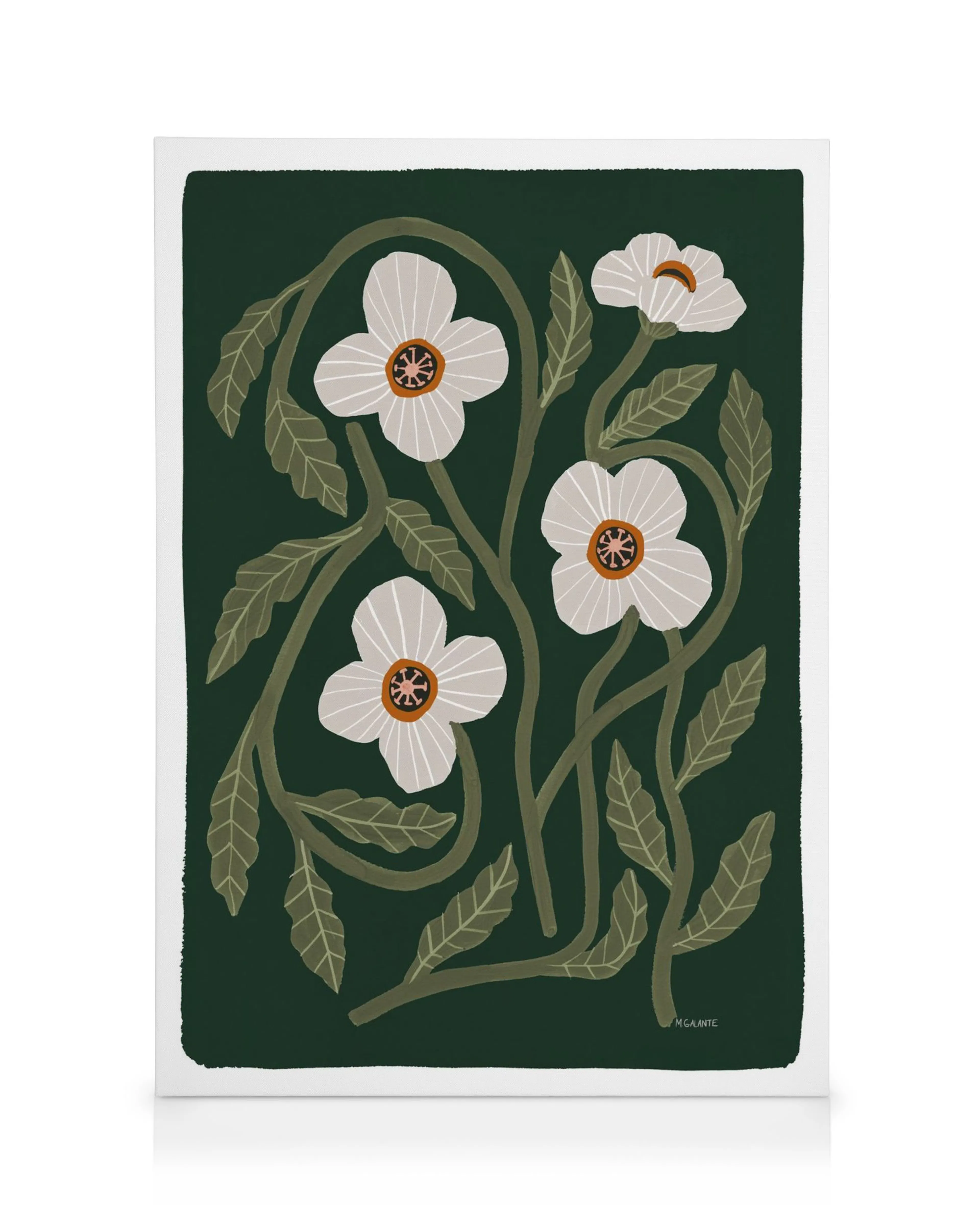 Stampa su tela con cinque papaveri bianchi della California, centri arancioni, foglie verdi su sfondo verde scuro. Arte botanica