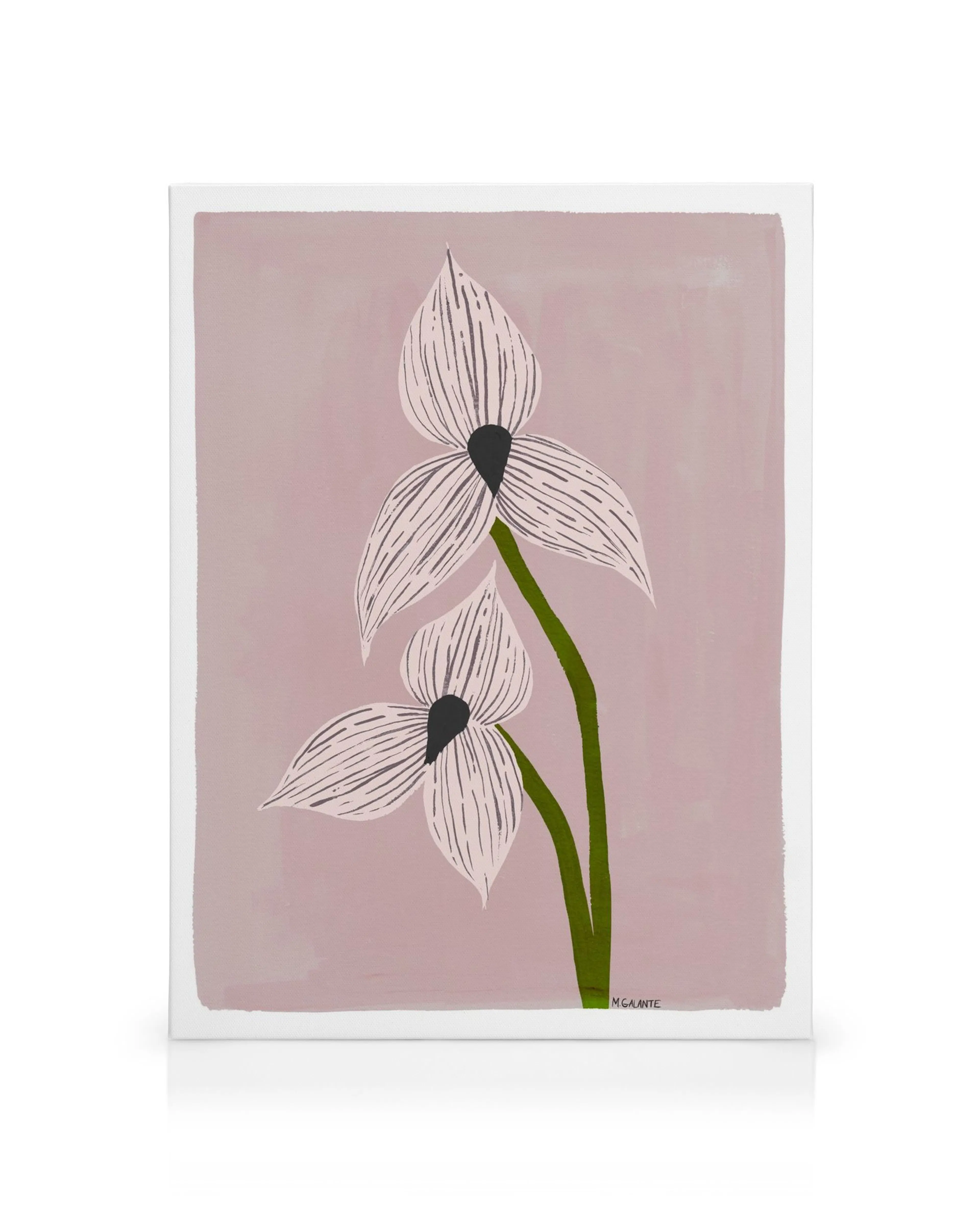 Megan Galante Orchid Portrait, dvě stylizované růžové orchideje se zelenými stonky na jemném růžovém pozadí.