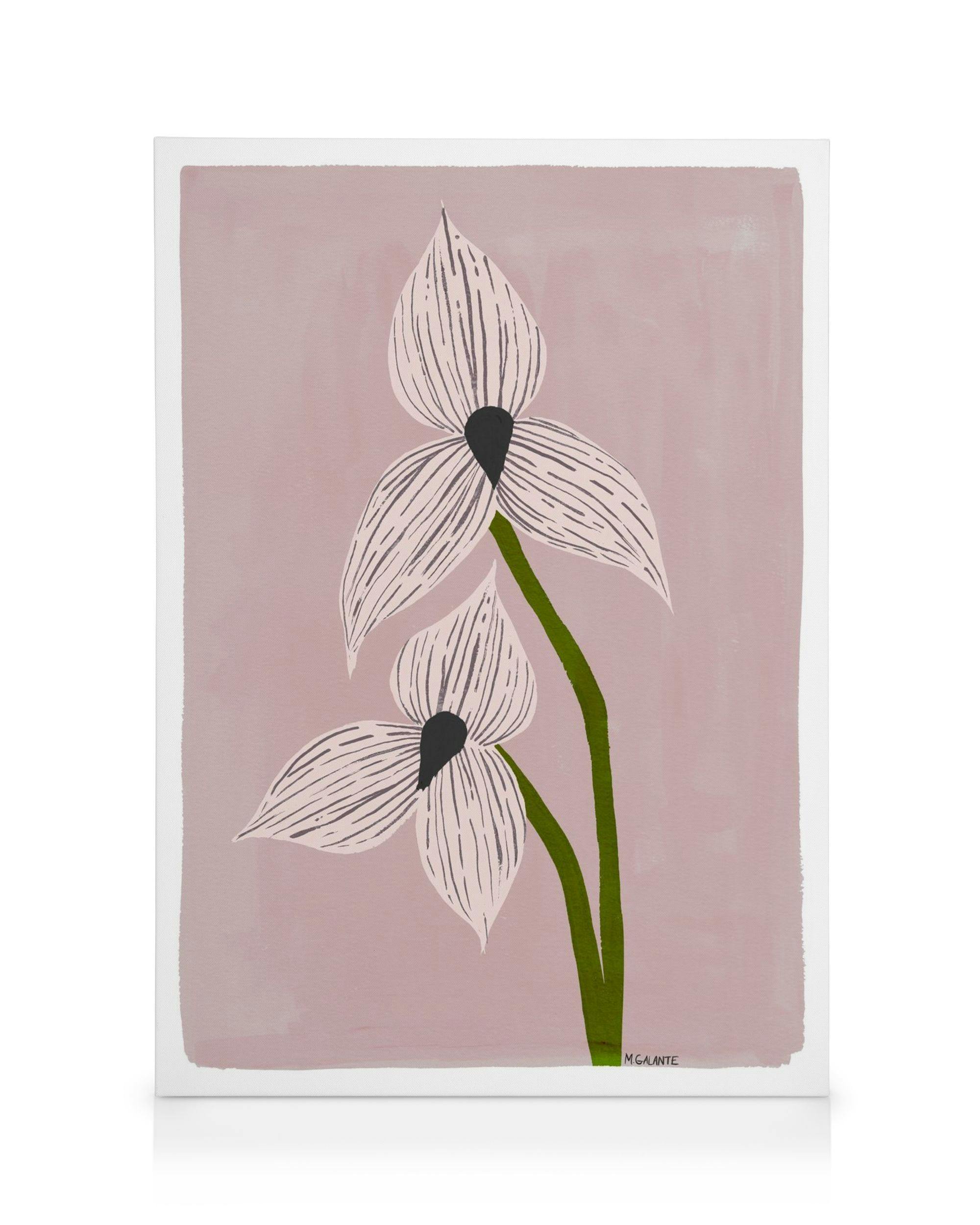 Canvas Prints Megan Galante - Orchid Portrait Canvas print (30x40 cm - Black Frame)
