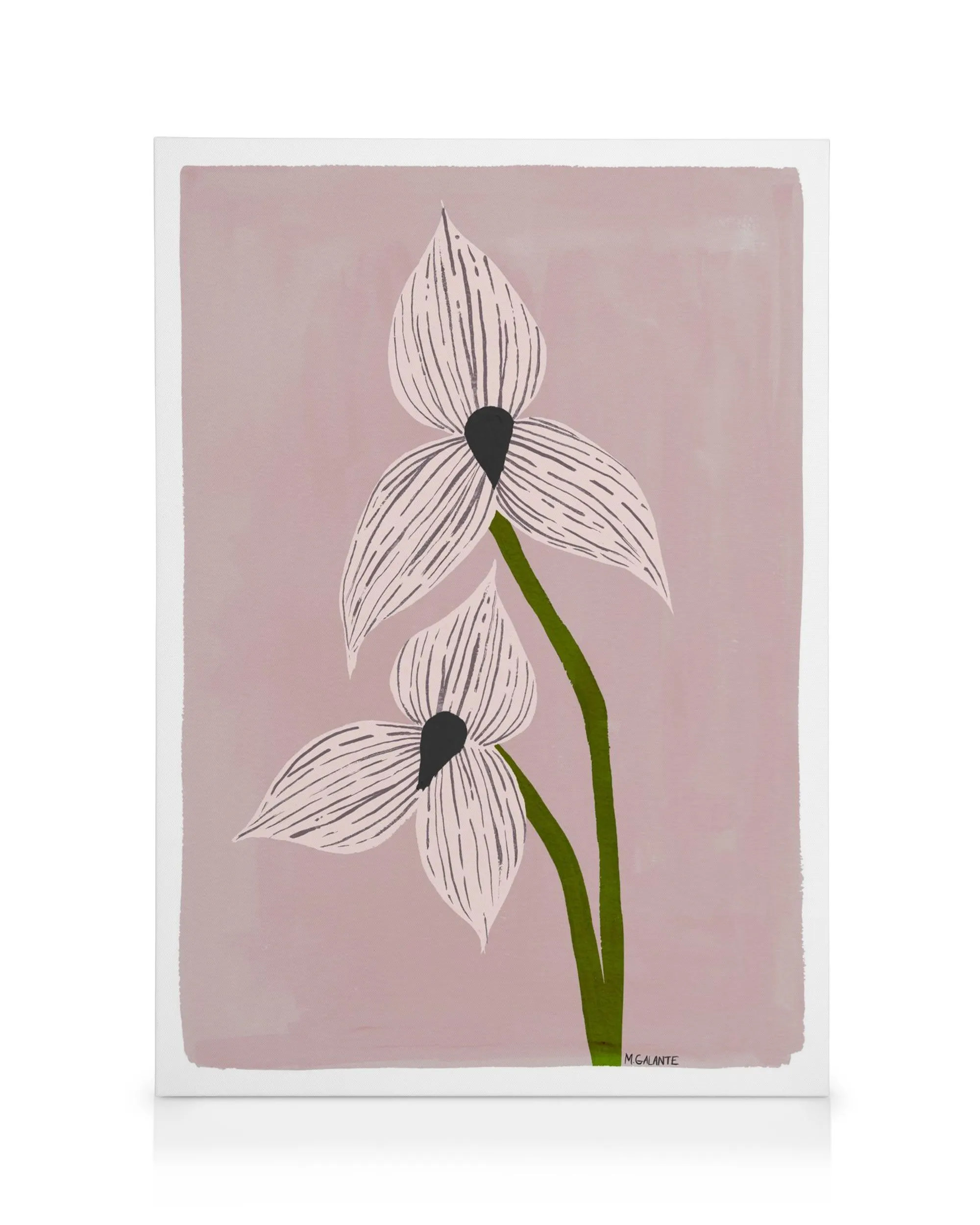 Stampa su tela Megan Galante, due orchidee bianche stilizzate con steli verdi, sfondo rosa pastello, centro nero