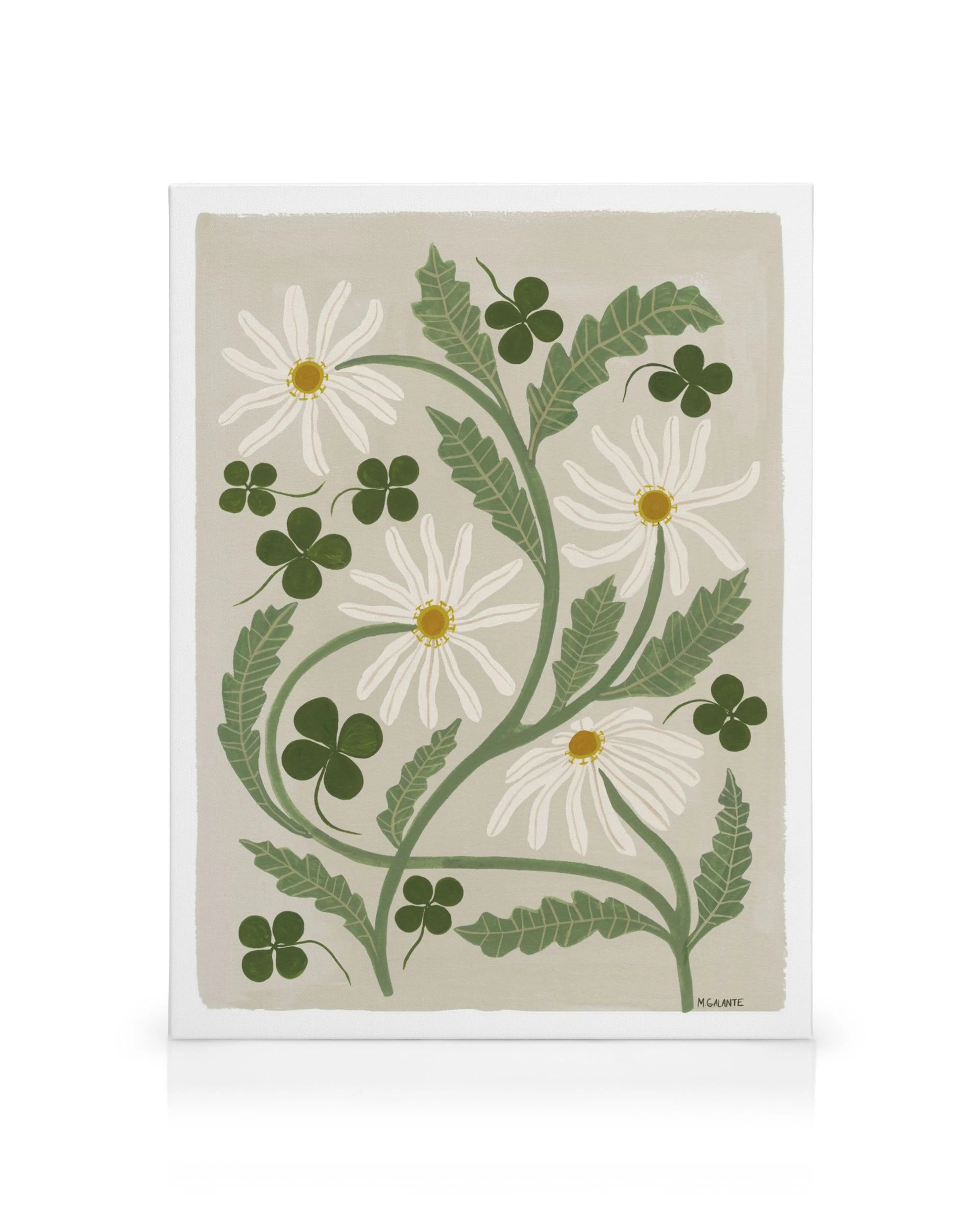 Lienzo con ilustración floral de tréboles y margaritas blancas sobre fondo beige, estilo botánico.