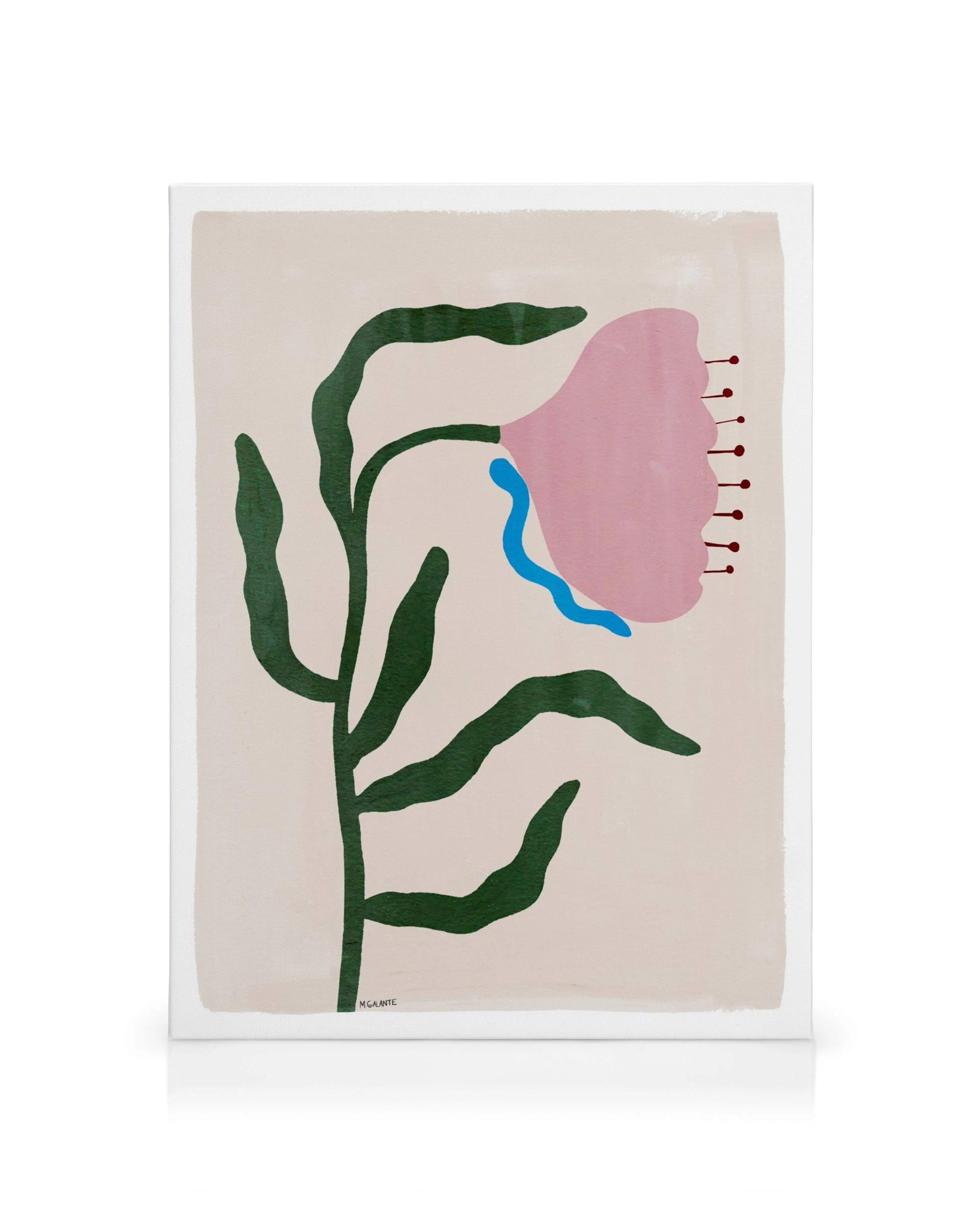 Megan Galantes Morning Floral canvas print features a pink flower with dark green leaves and a blue accent on a light background