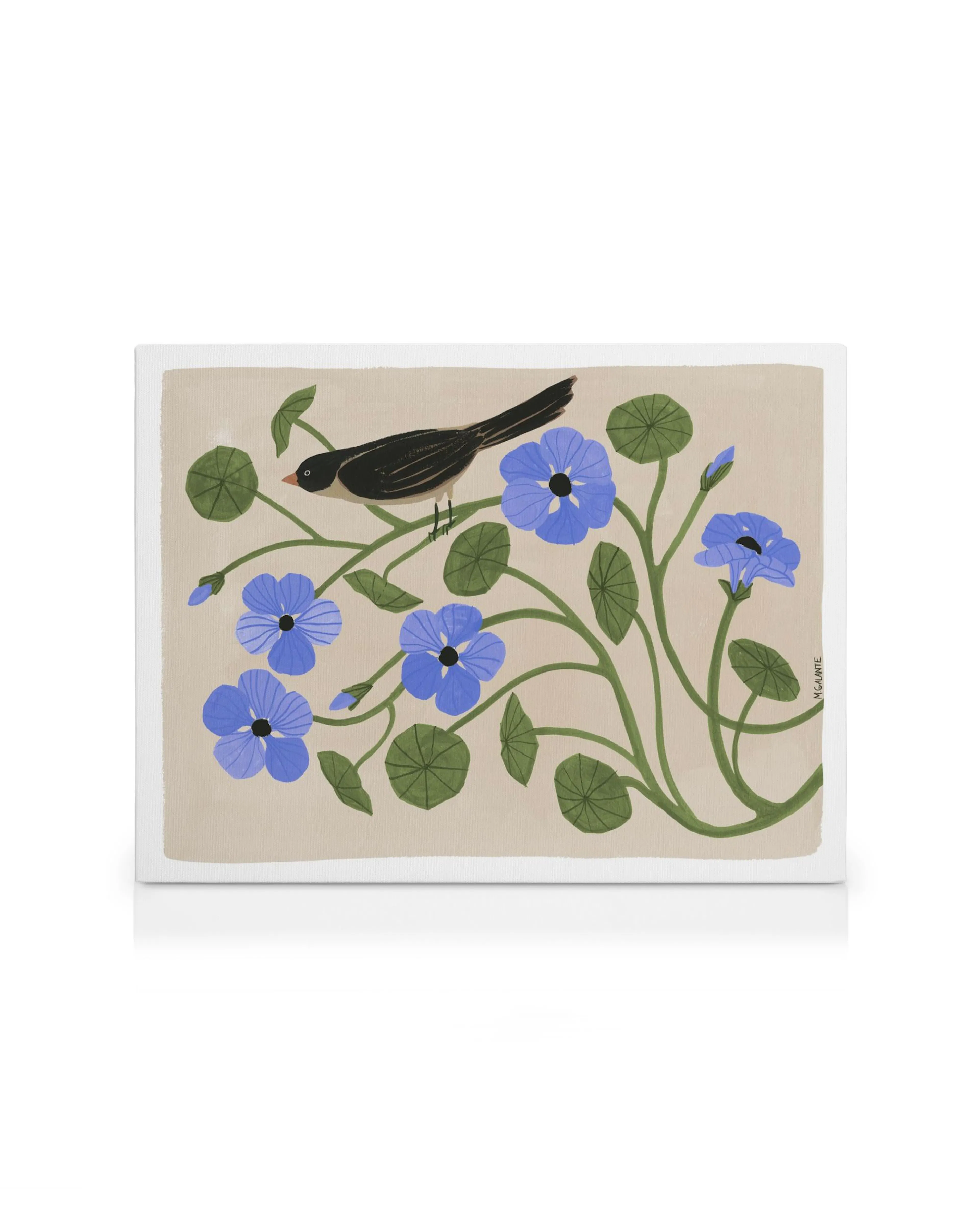 Megan Galantes Garden Pansey canvas print: A black bird perched on green vines with blue pansy flowers.