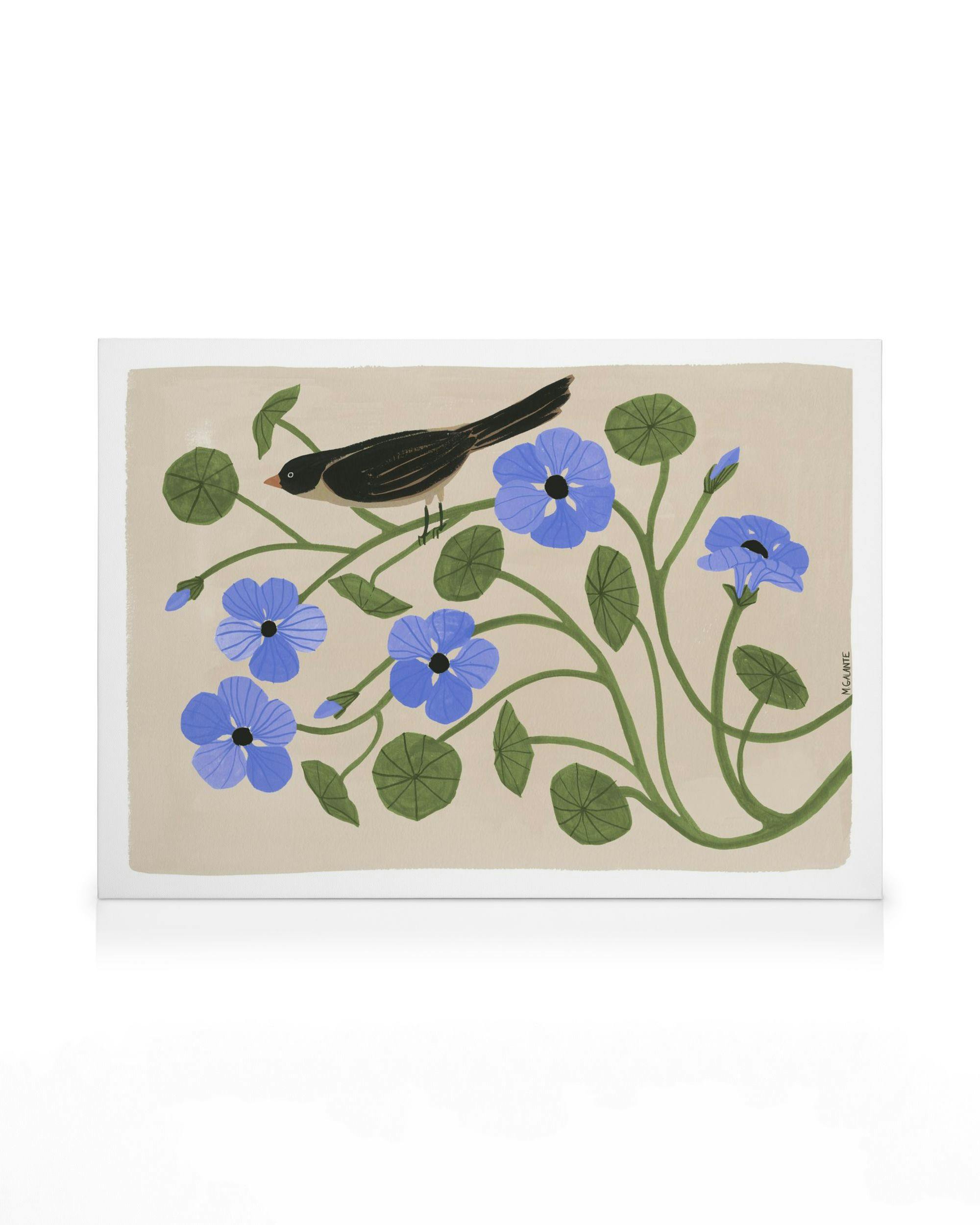 Canvas Prints Megan Galante - Garden Pansey Canvas print (50x70 cm - Black Frame)