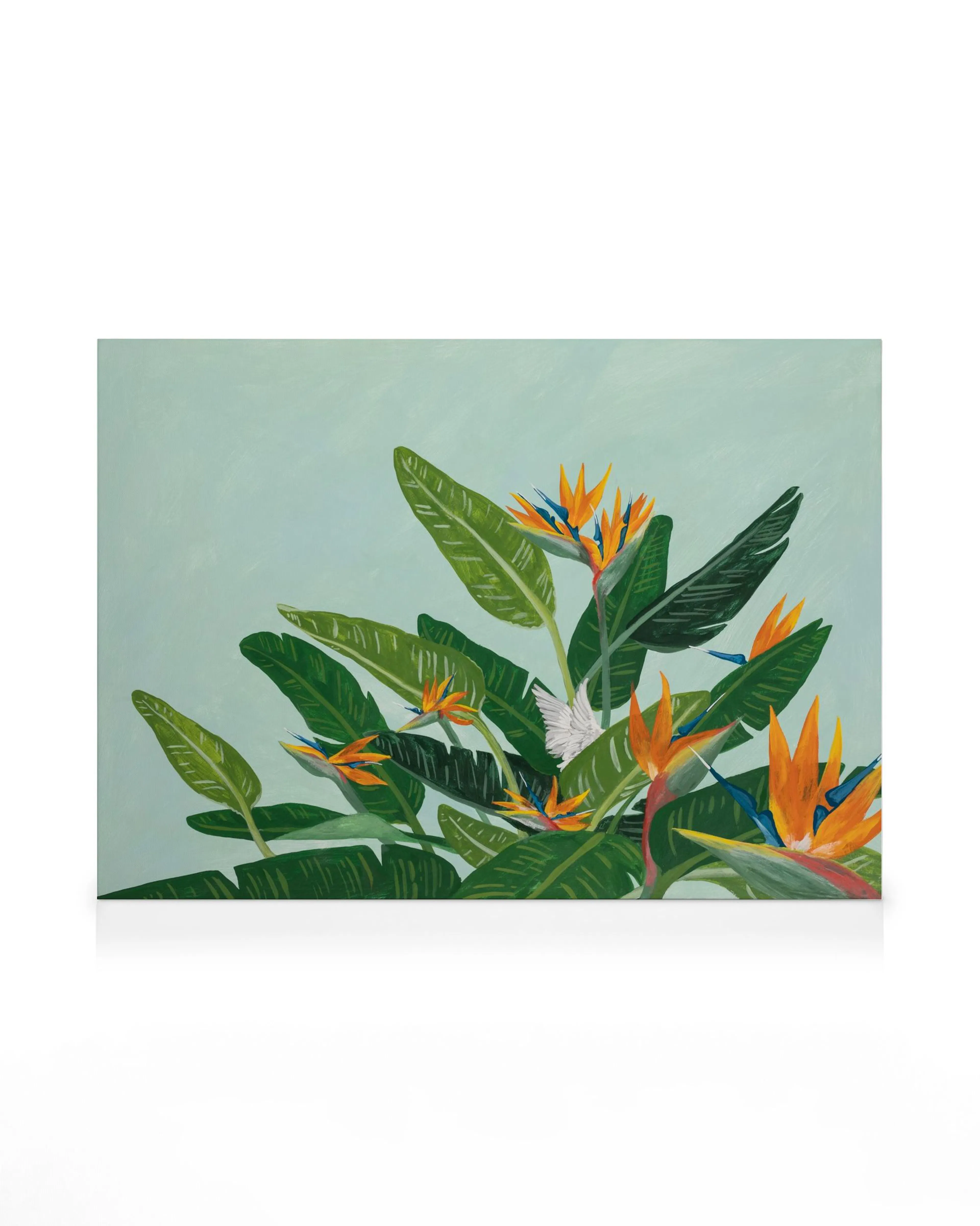 Lienzo con flores de ave del paraíso y hojas tropicales verdes sobre un fondo verde pálido, estilo botánico.