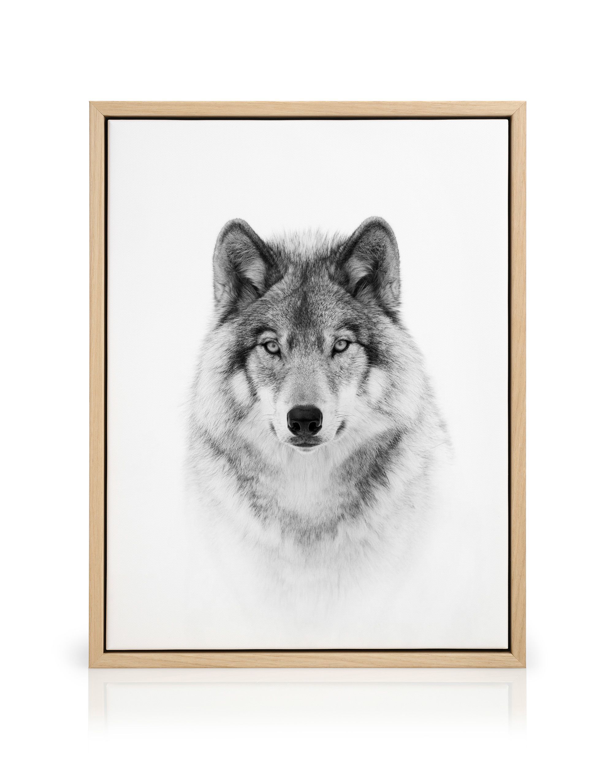 Sneakerwolf Giclee Poster 直筆アートワーク Sneakerwolf Giclee