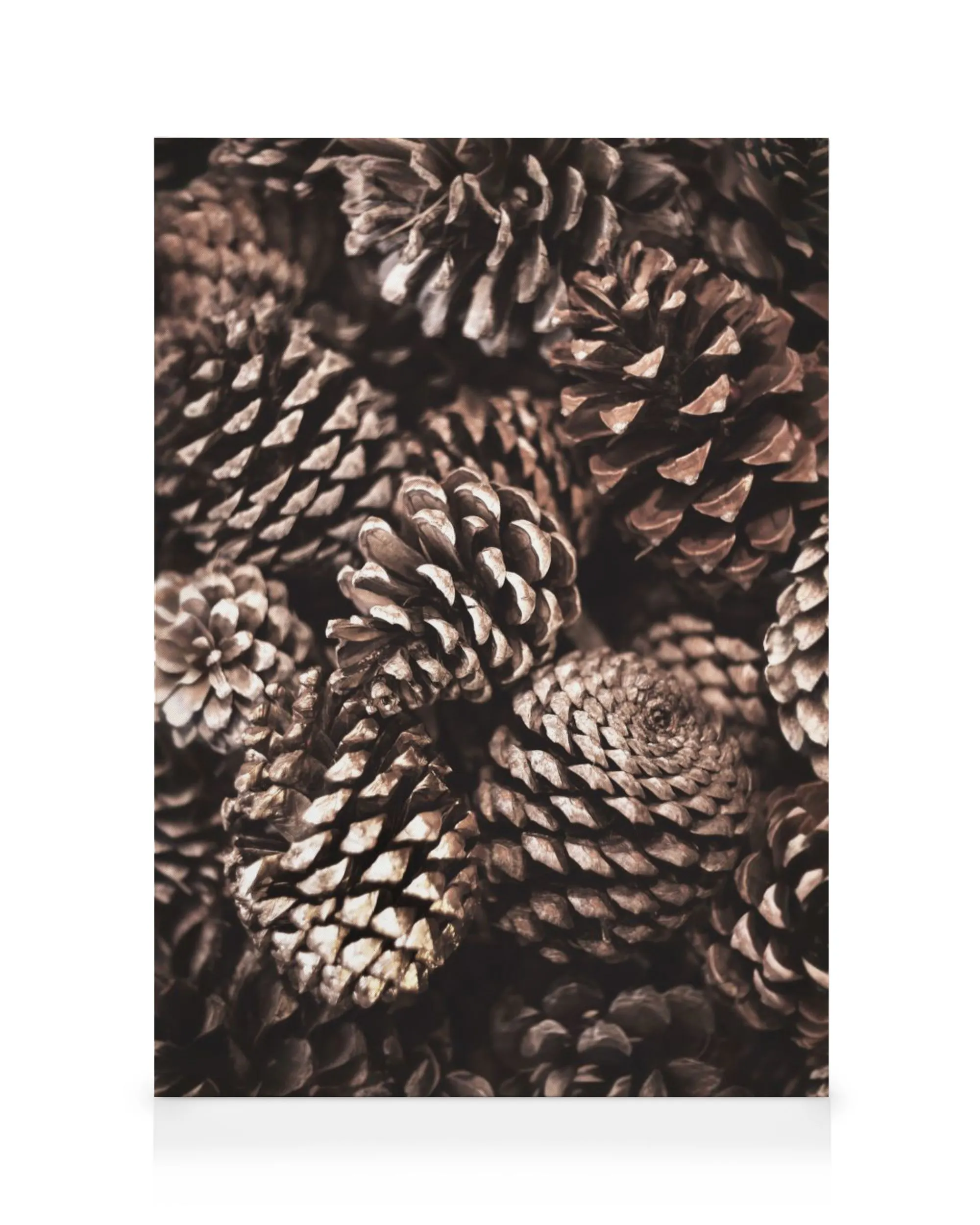 Lienzo de piñas marrones con escamas texturizadas, destacando el arte de pared natural y la decoración de hogar.