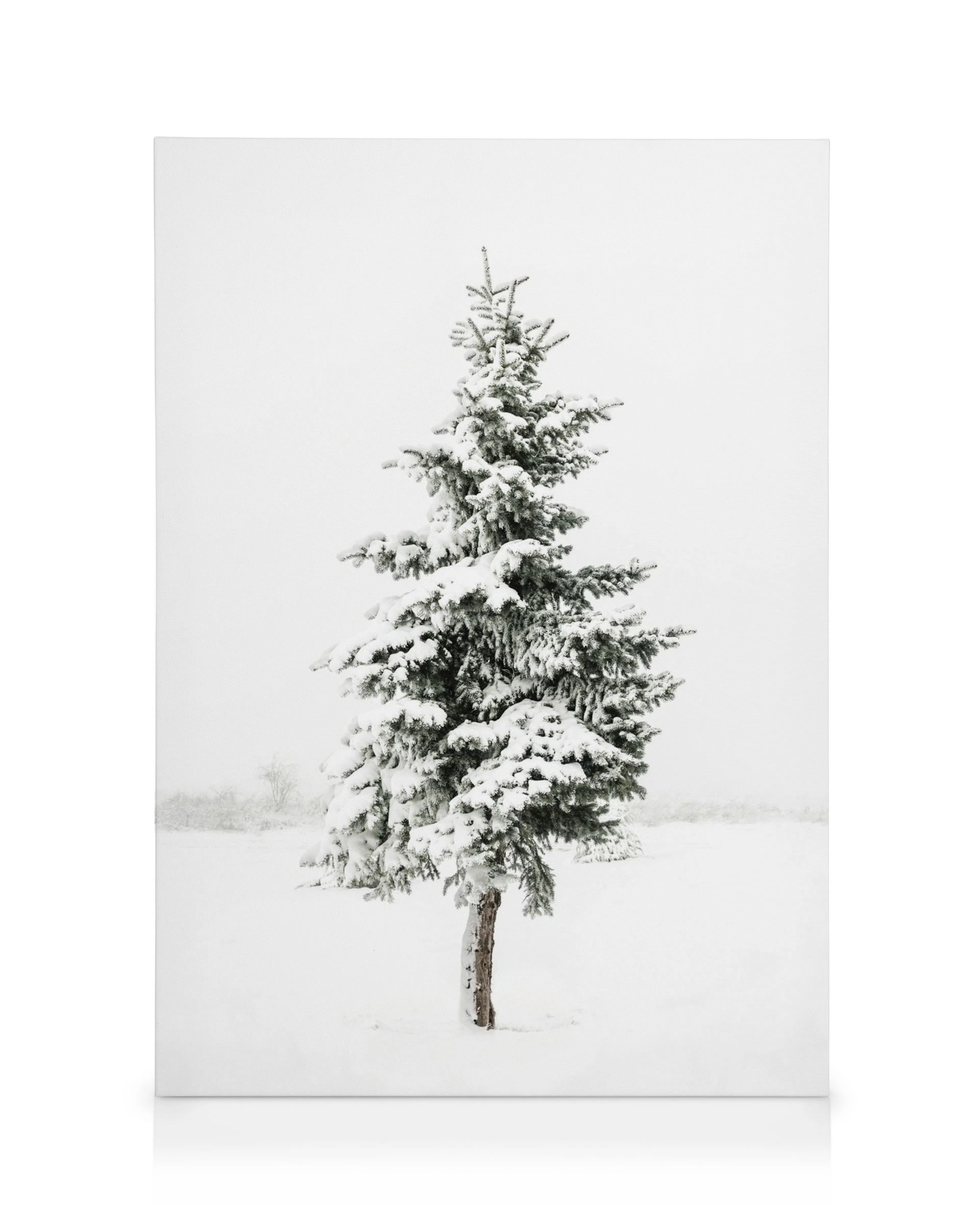 Snefyldt grantræ på lærred, et vinterlandskab med hvid sne og grønne grene, minimalistisk nordisk design.