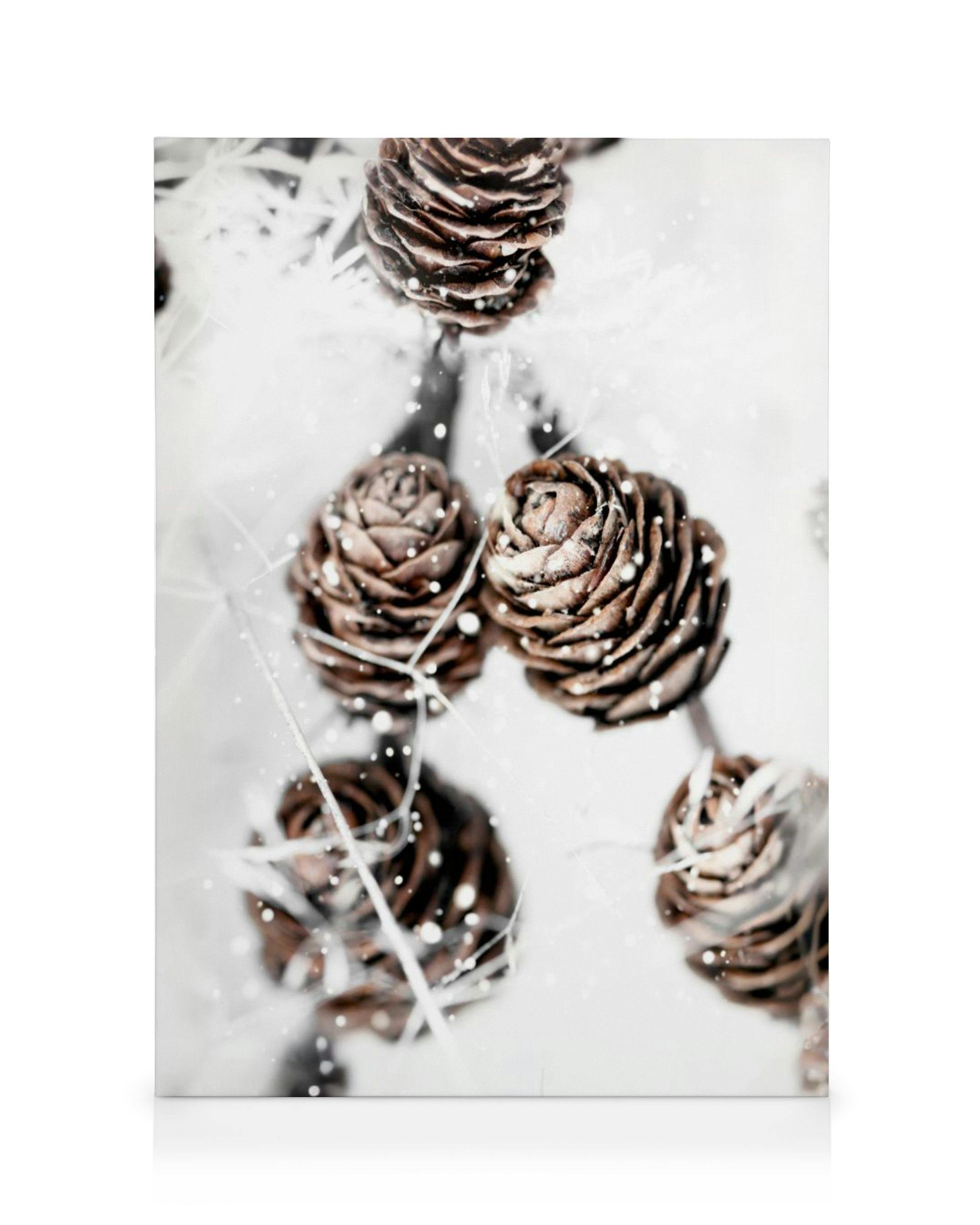 Canvas Prints Winter Cones Canvas print (30x40 cm - Oak Frame)