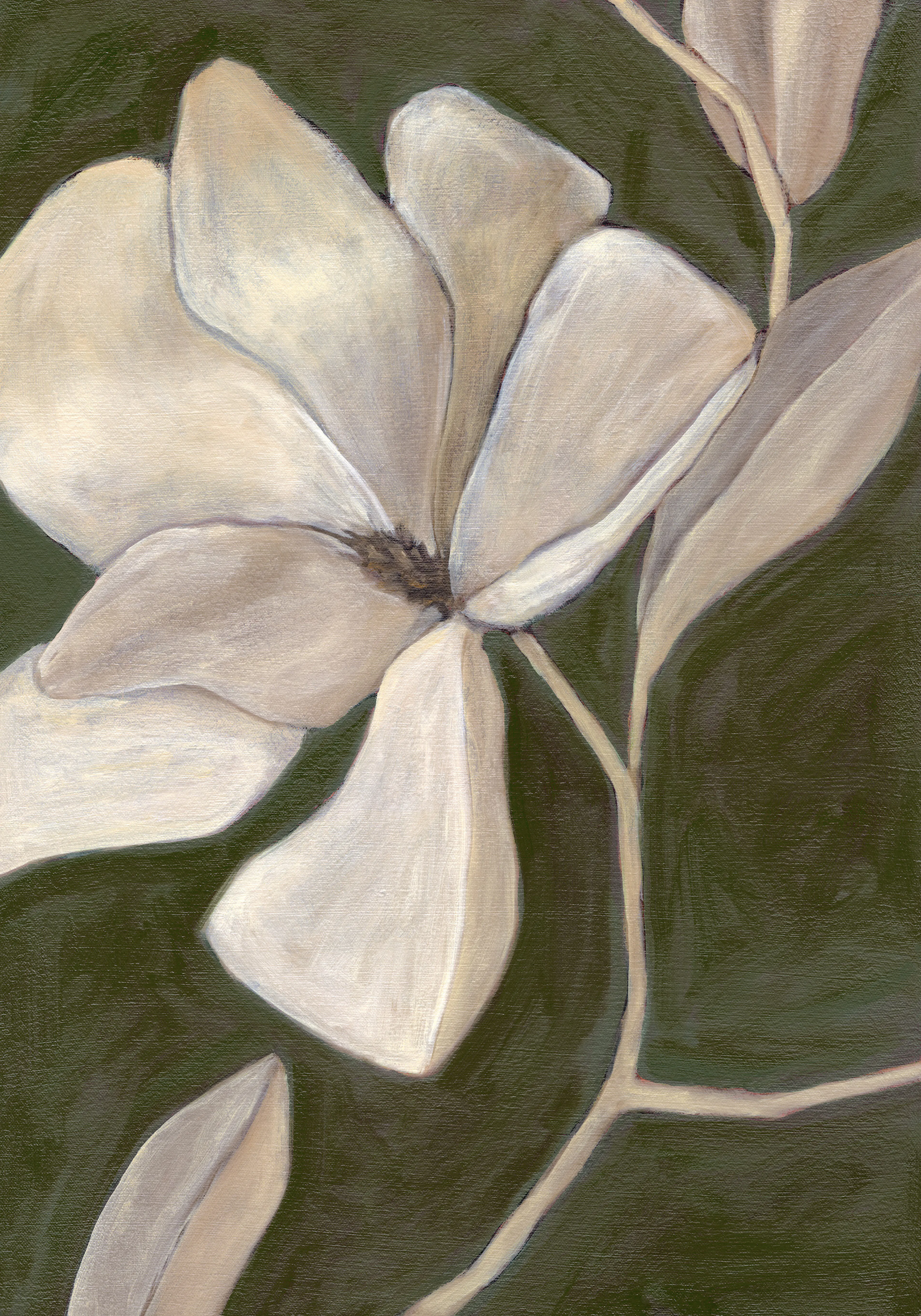 Magnolia Study Plakat 0
