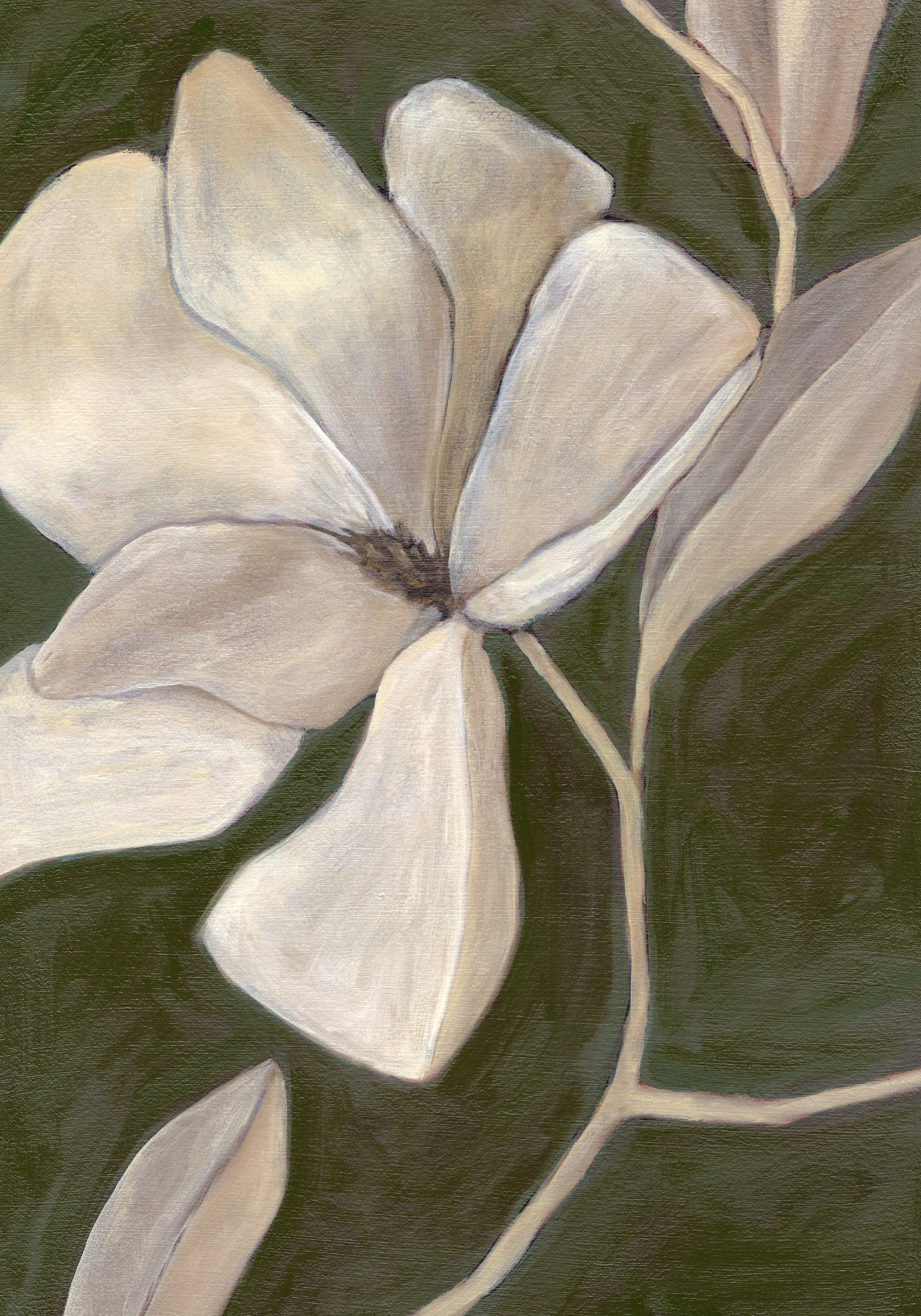 Magnolia Study Poster 0