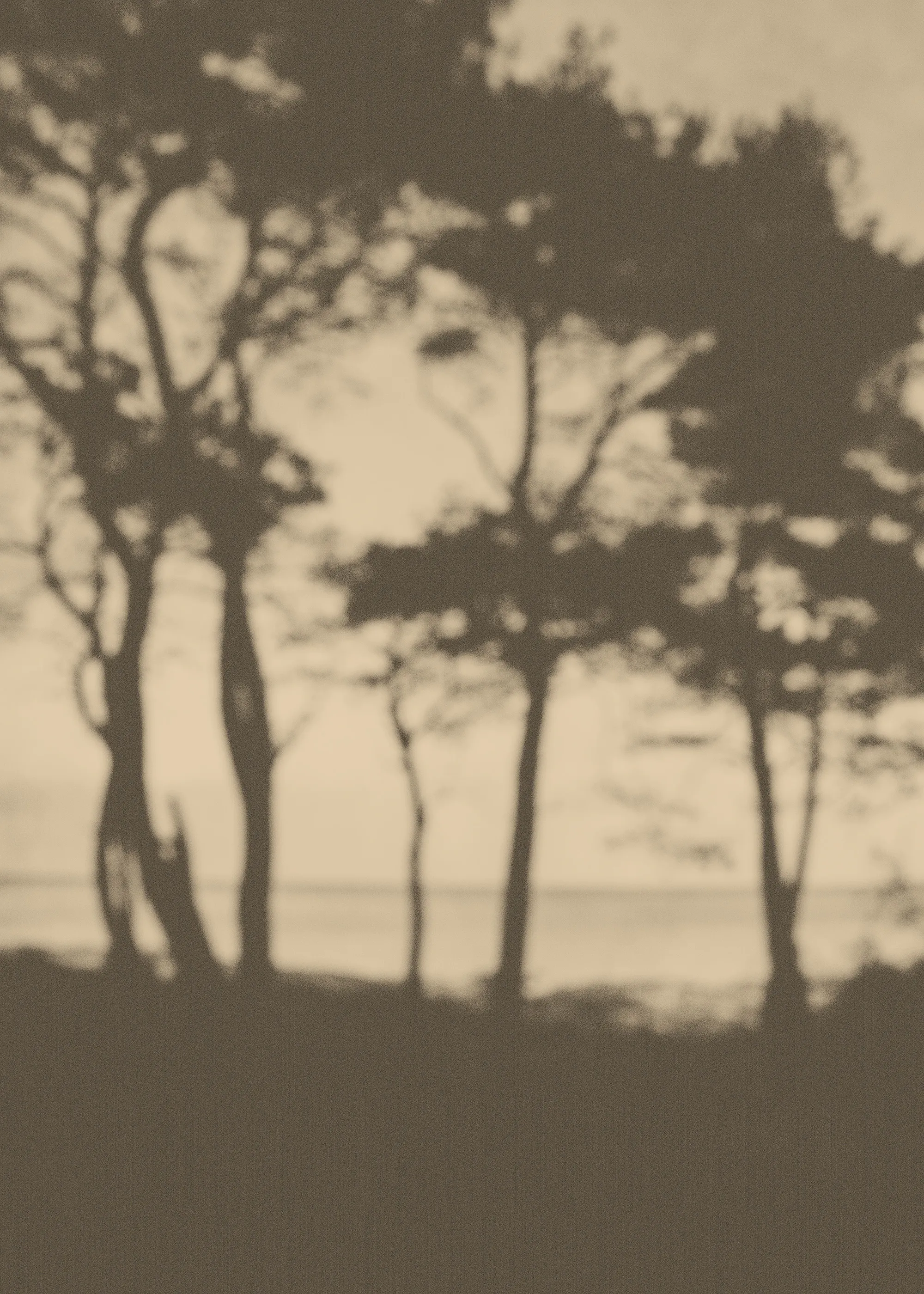 Before It Fades Poster 0