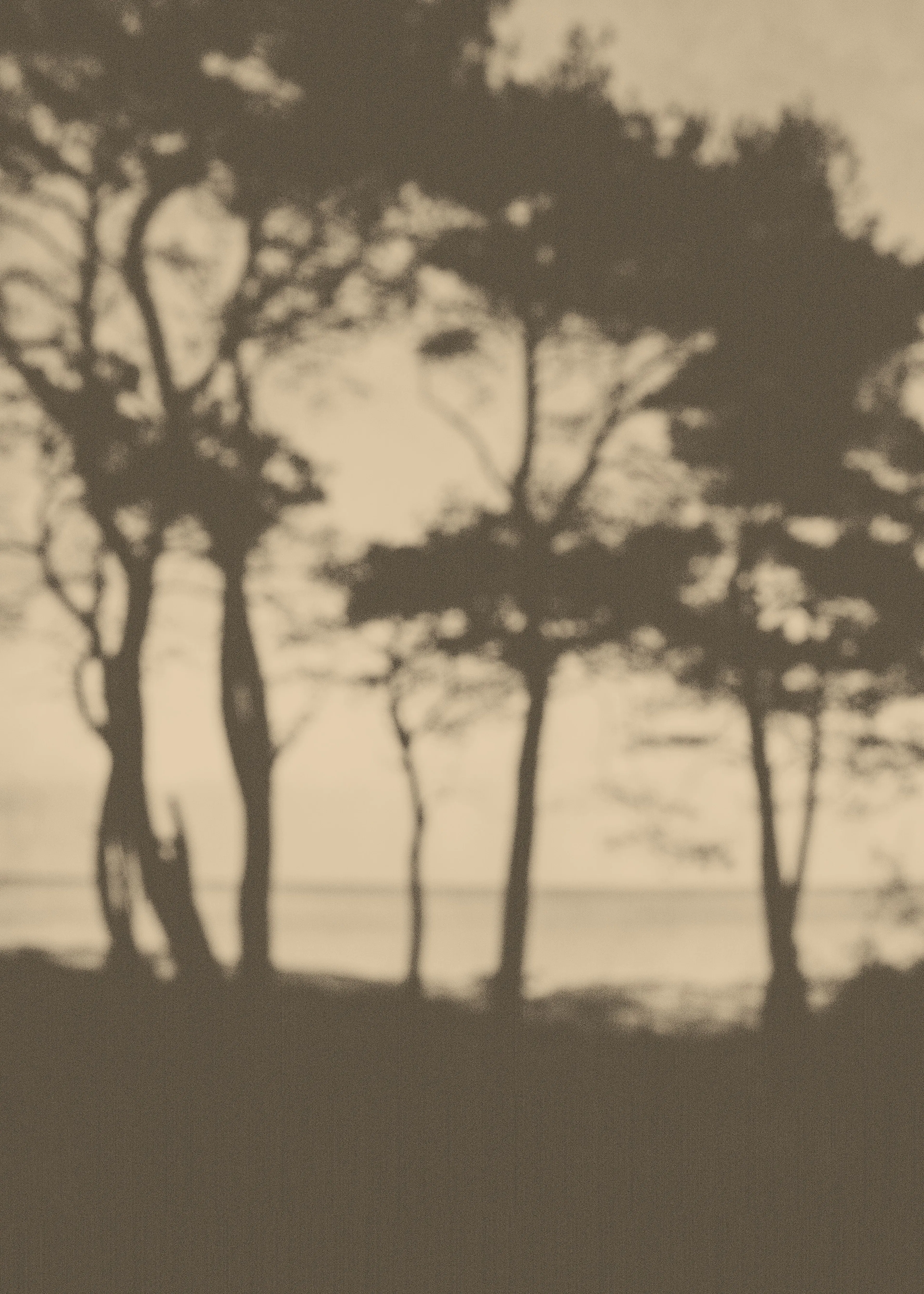 Before It Fades Poster 0
