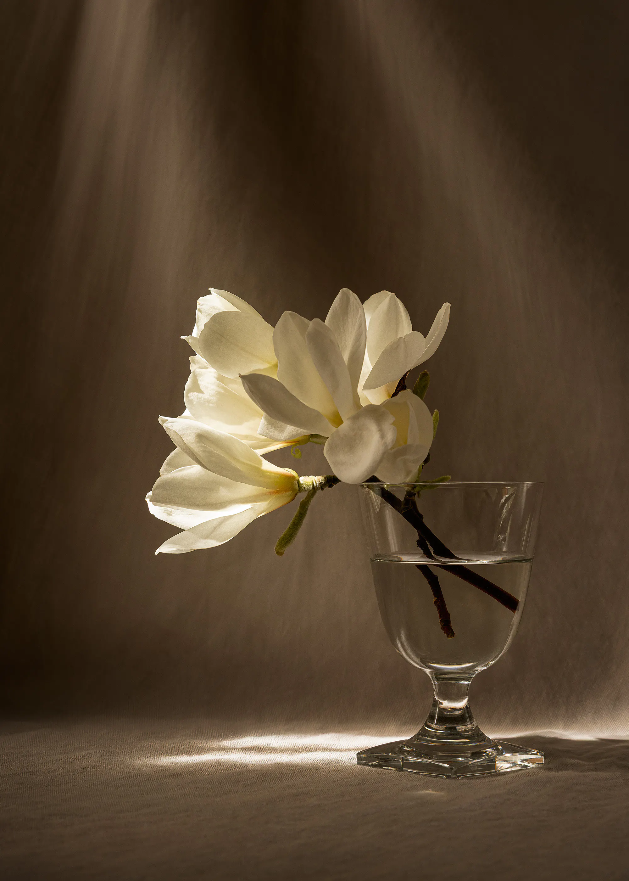 Quiet Beauty Plakat 0