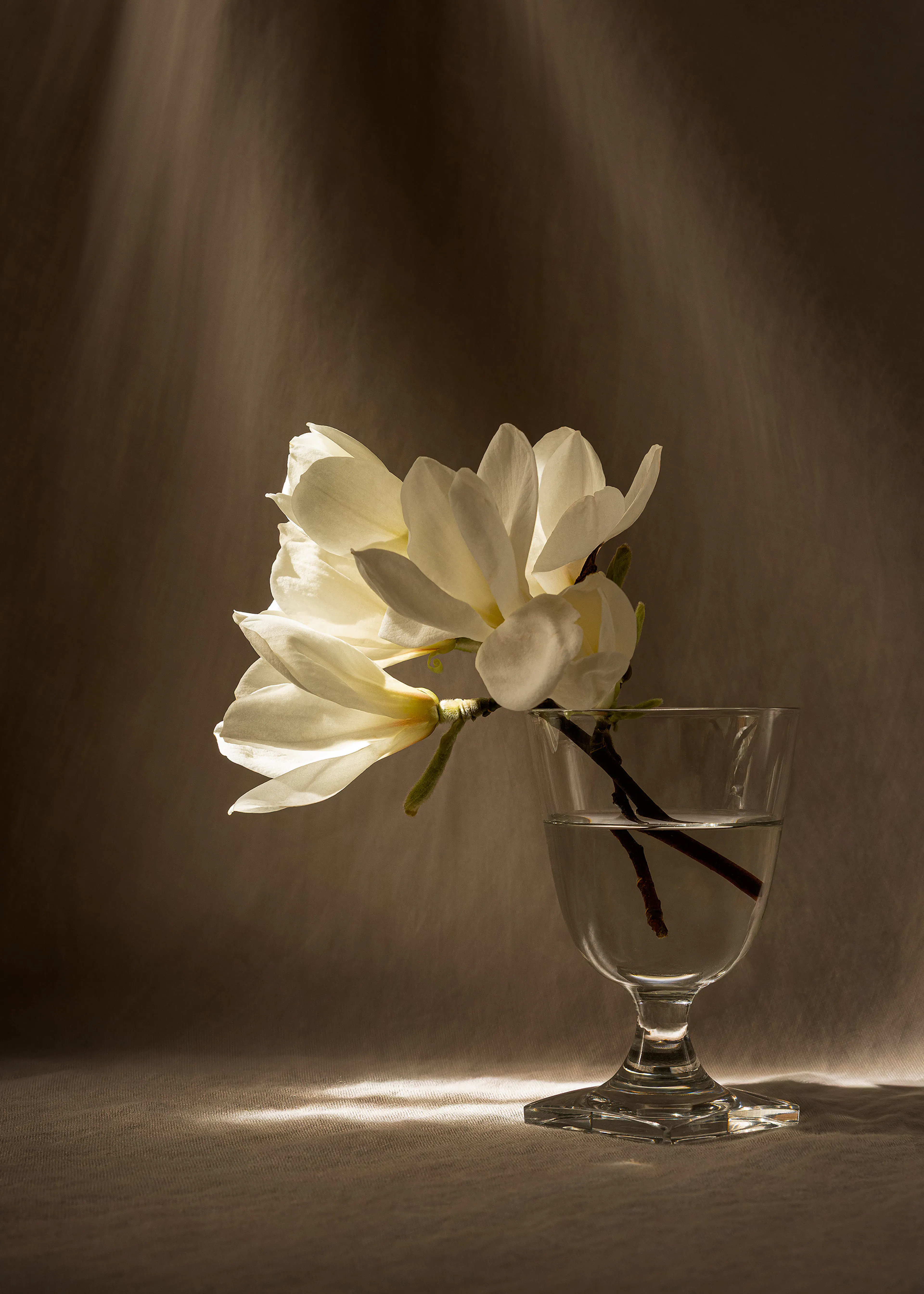 Product image: 4