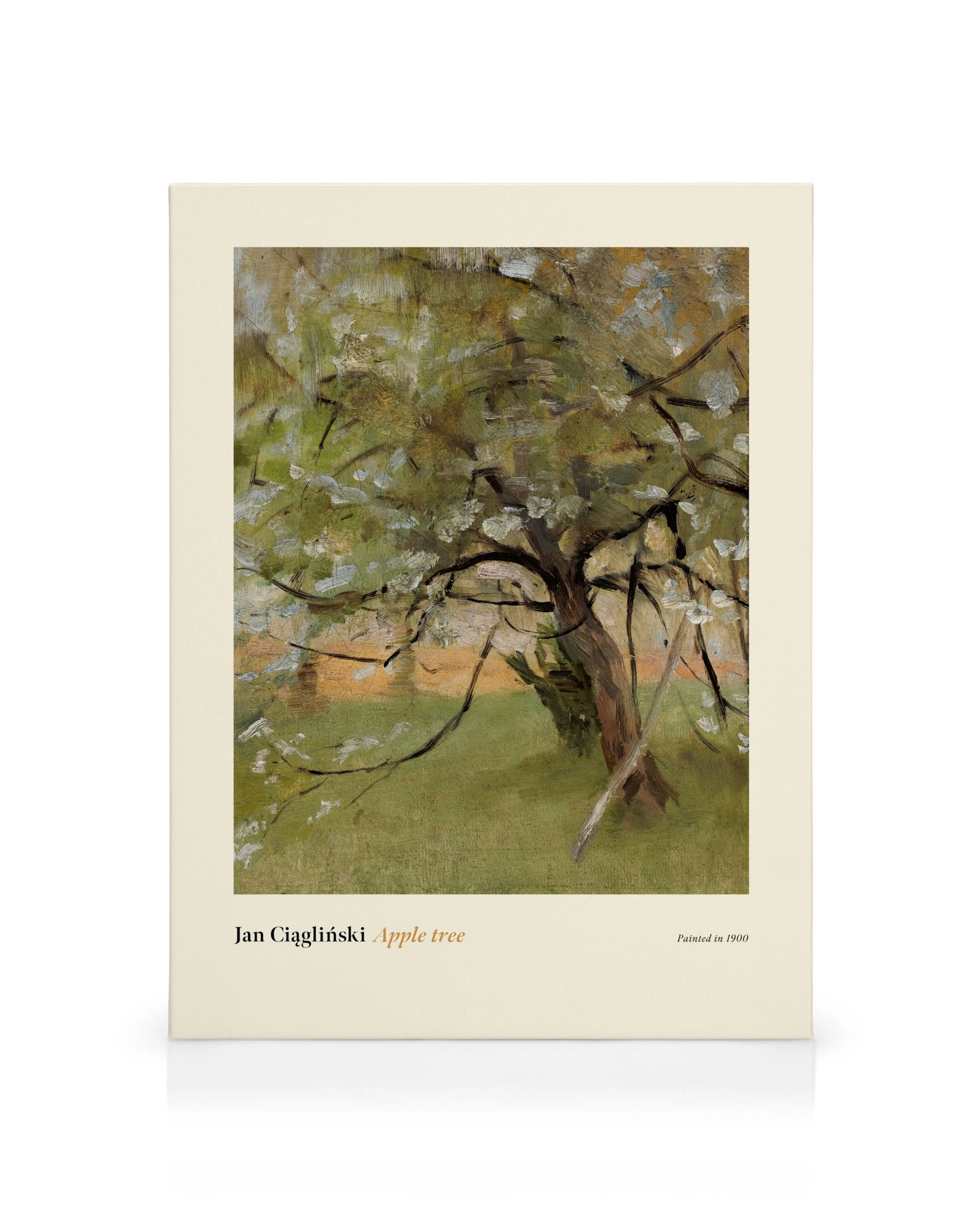 Product image: 1