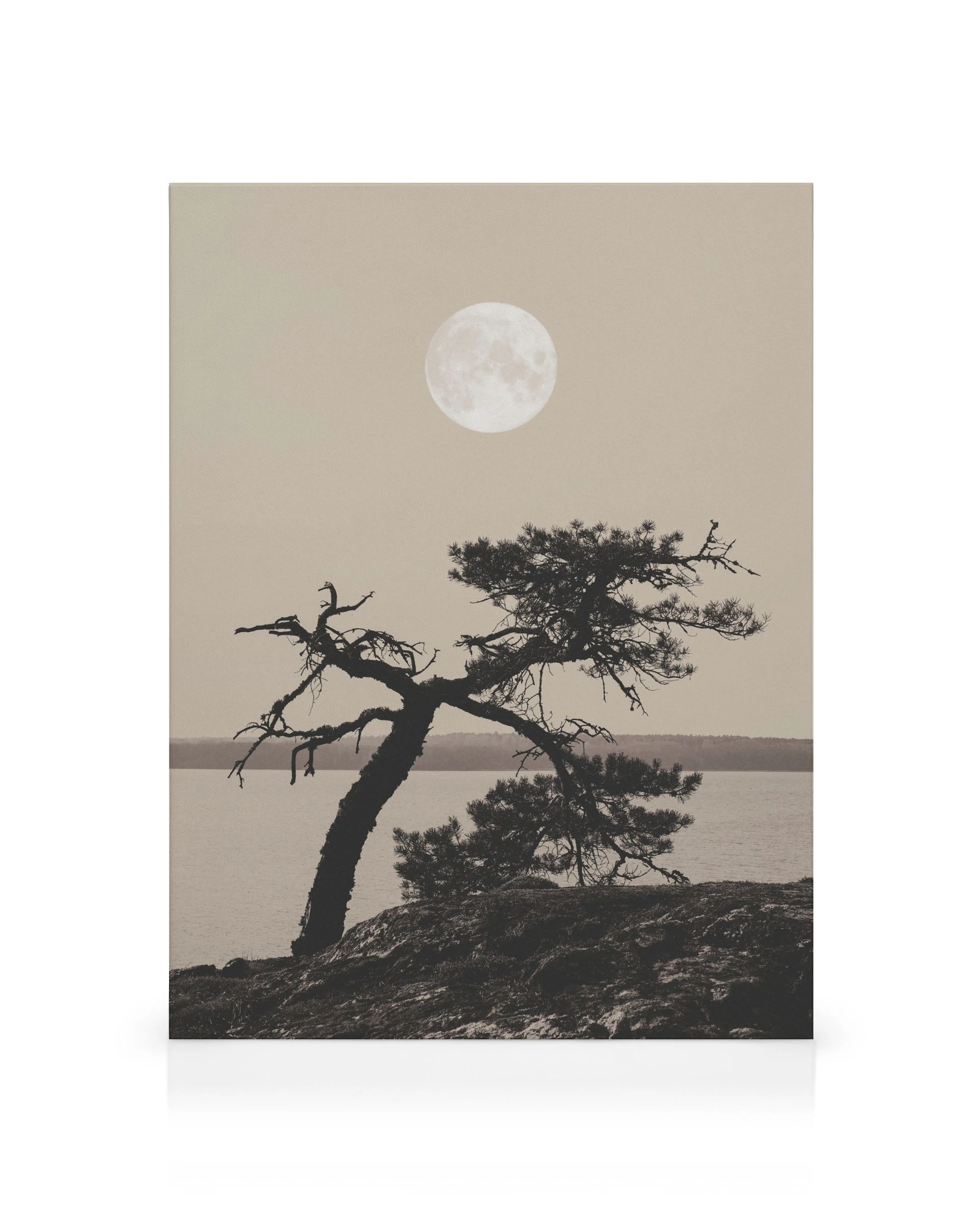 Product image: 1