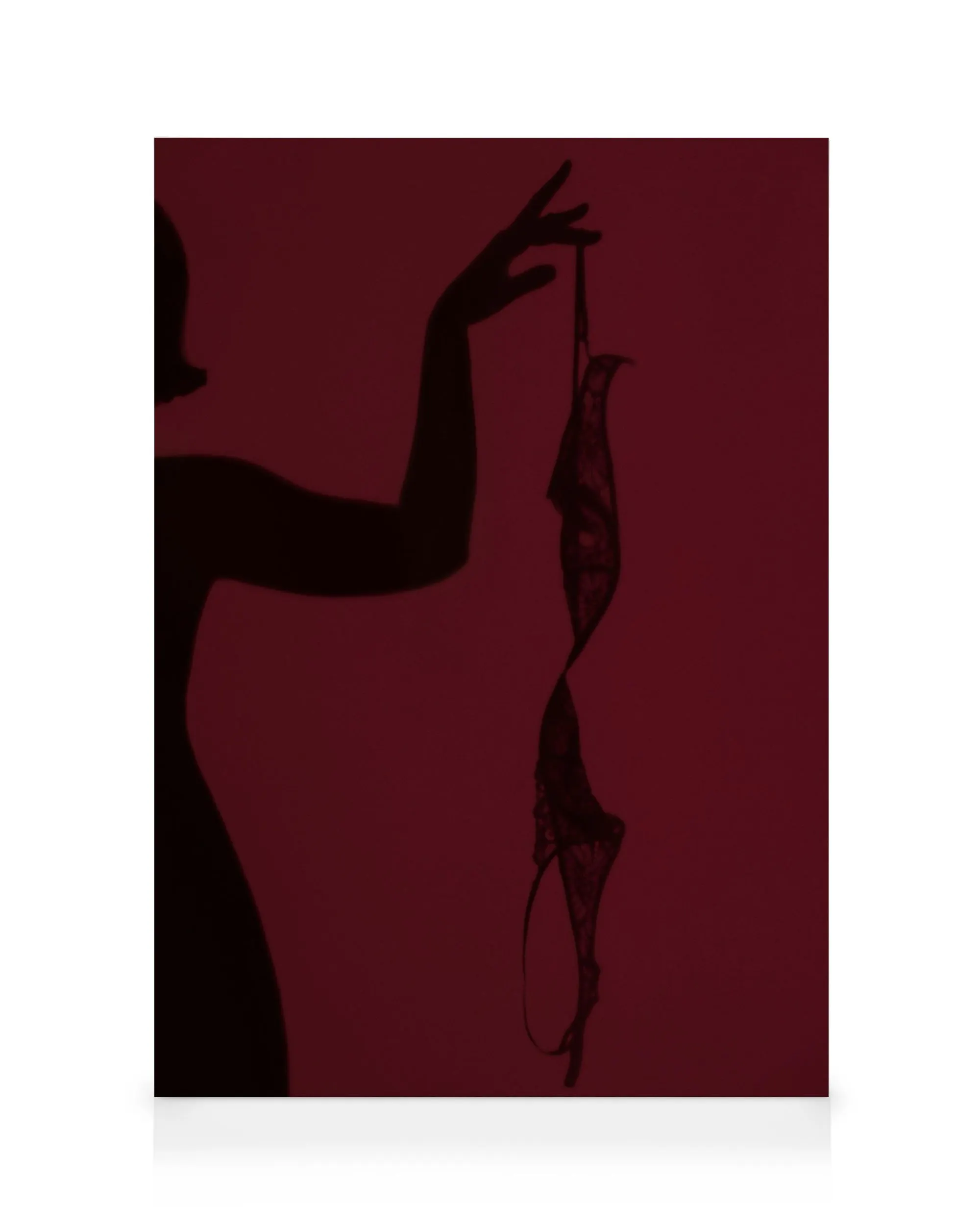 Burgundy Silhouette No1 Toile 0