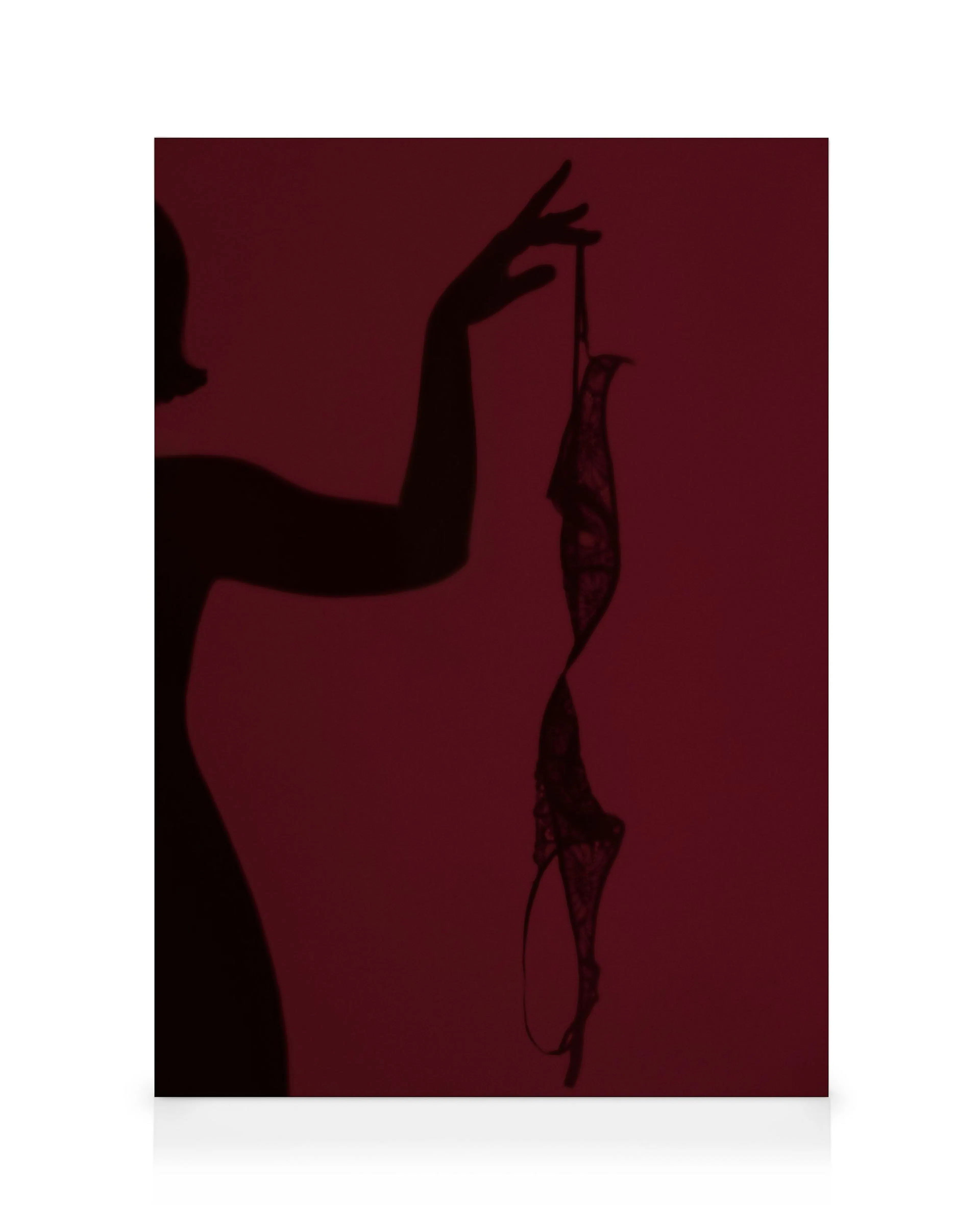 Burgundy Silhouette No1 Stampa su Tela 0
