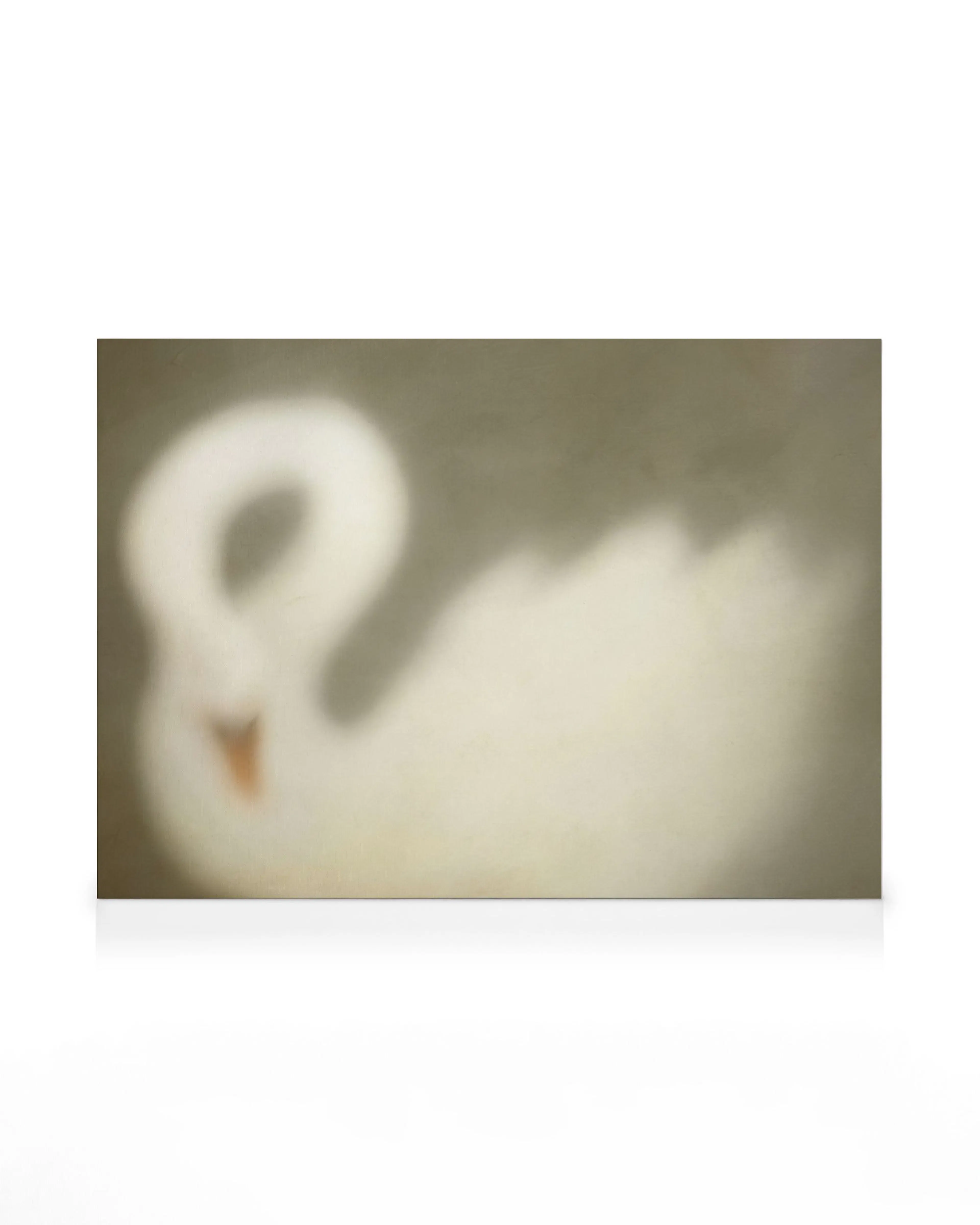 Soft Swan Canvas print 0