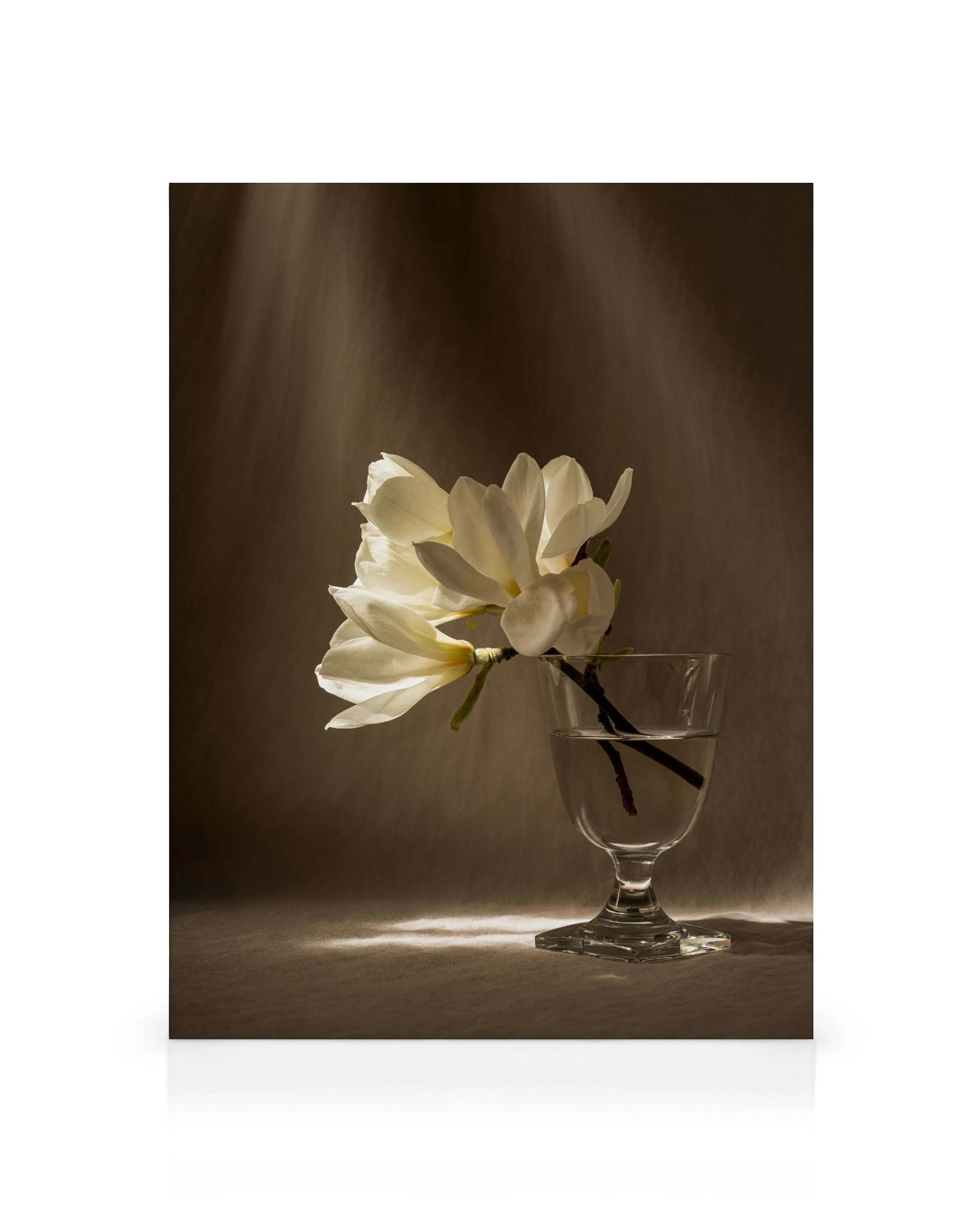 Product image: 1