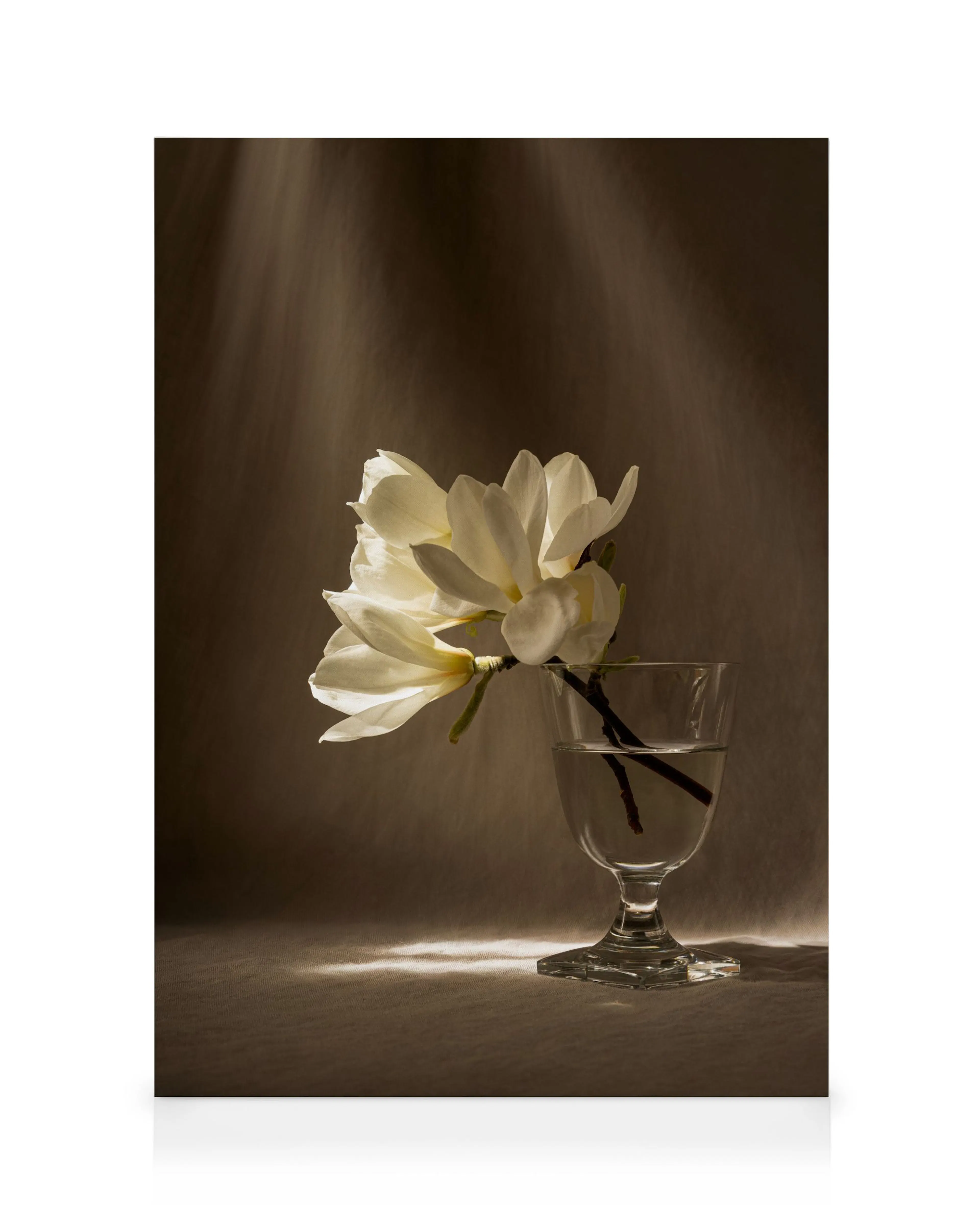 Product image: 4
