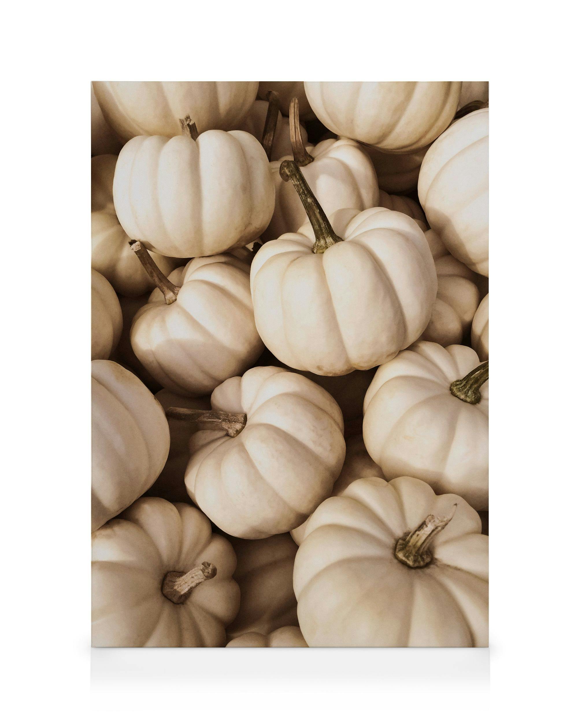 Canvas Prints White Pumpkins Canvas print (30x40 cm - Dark Oak Frame)