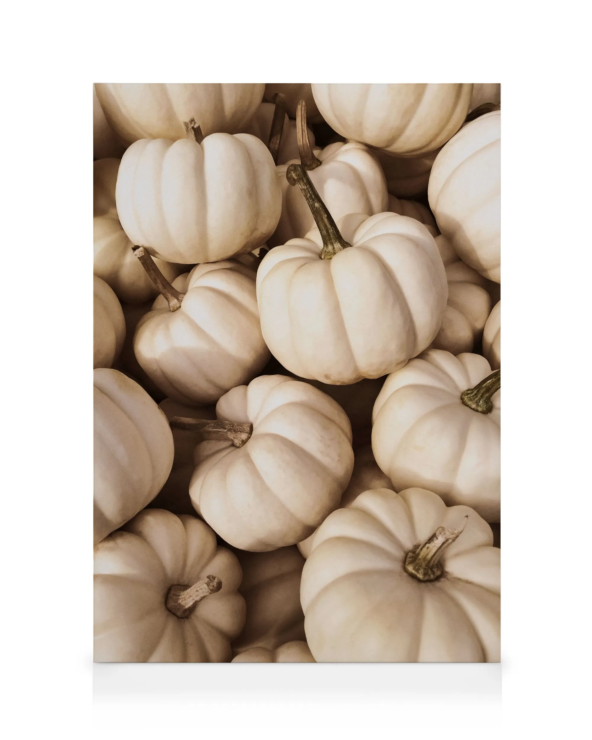White Pumpkins Καμβάς 0