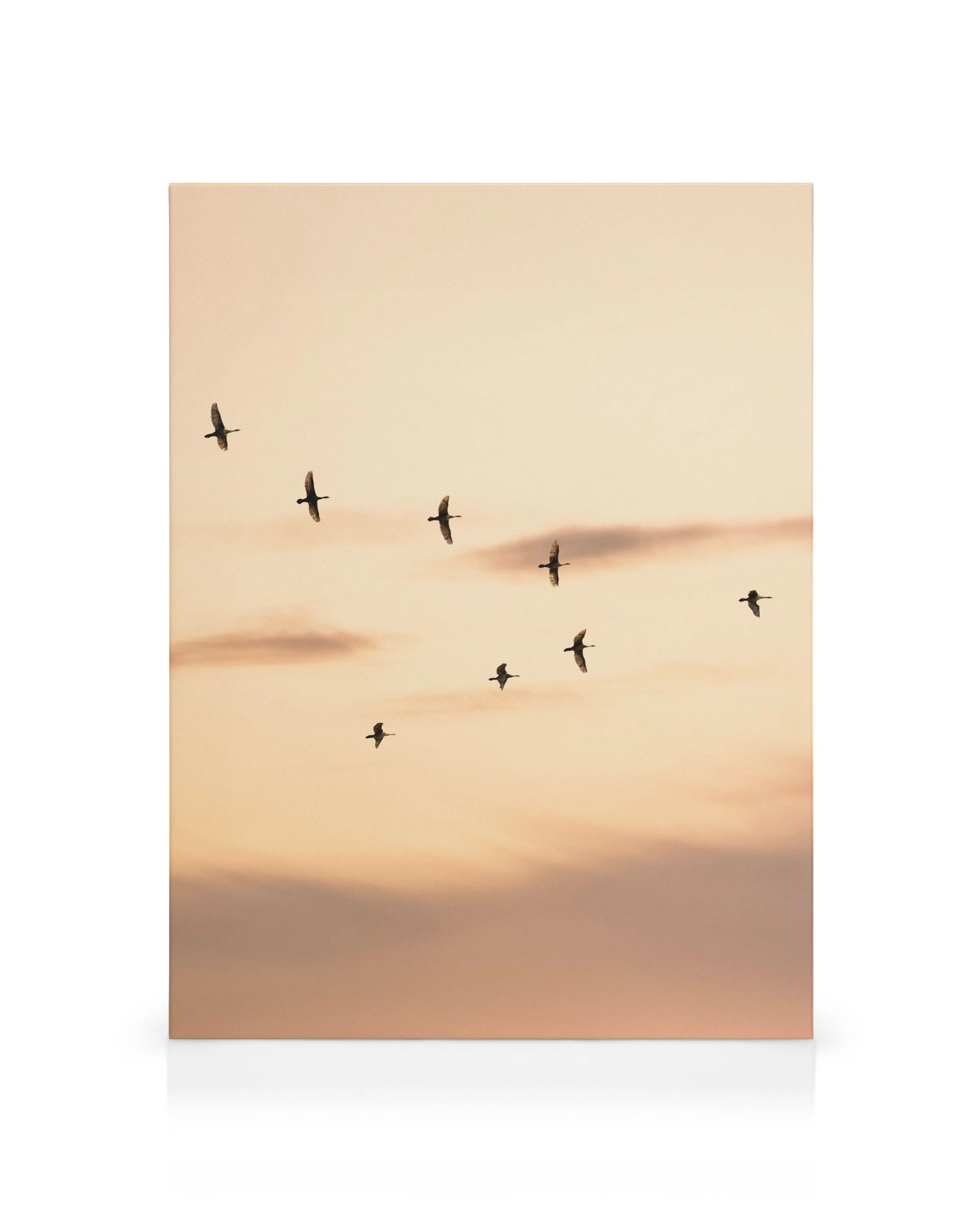 Product image: 1