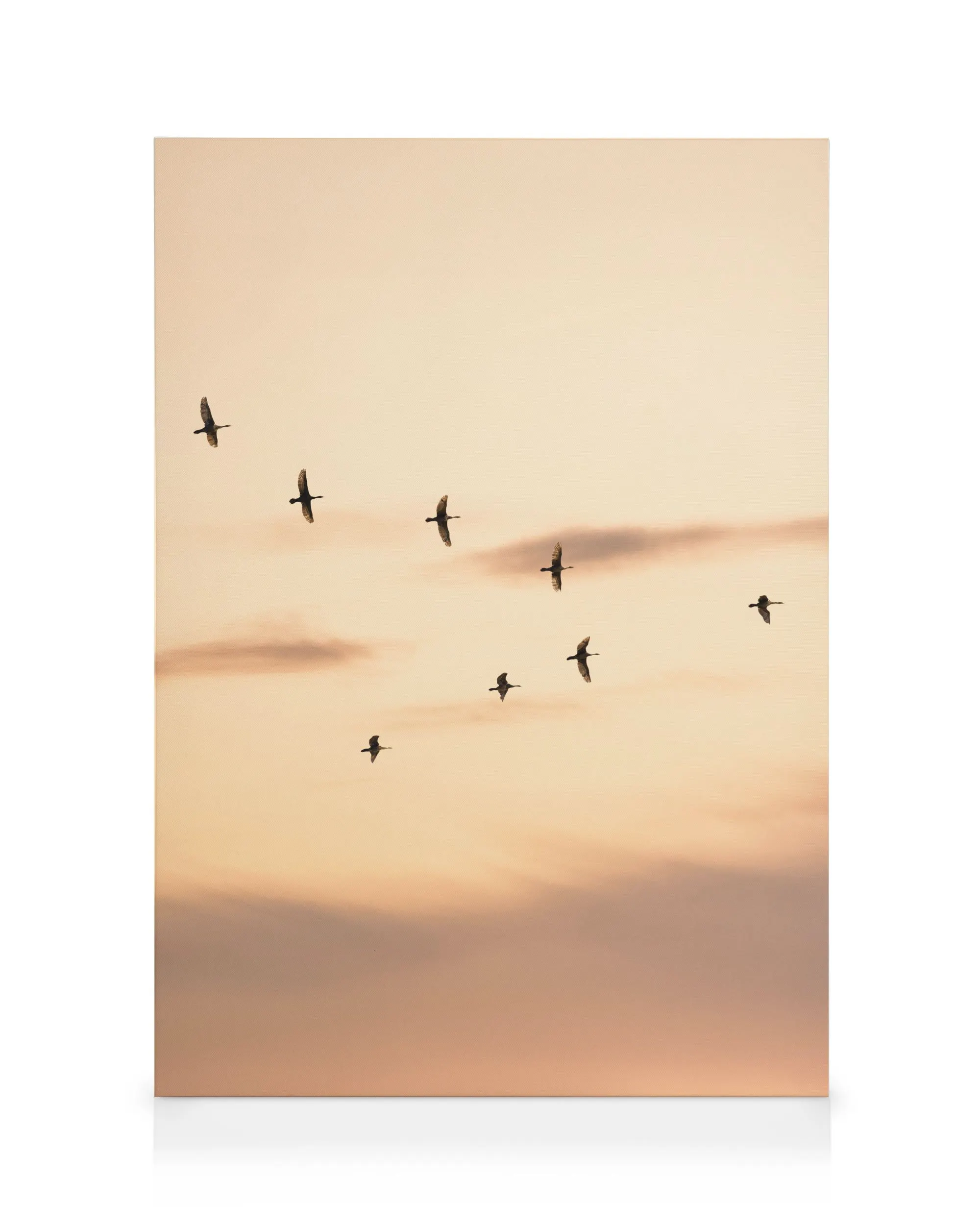 Migratory Birds Καμβάς 0