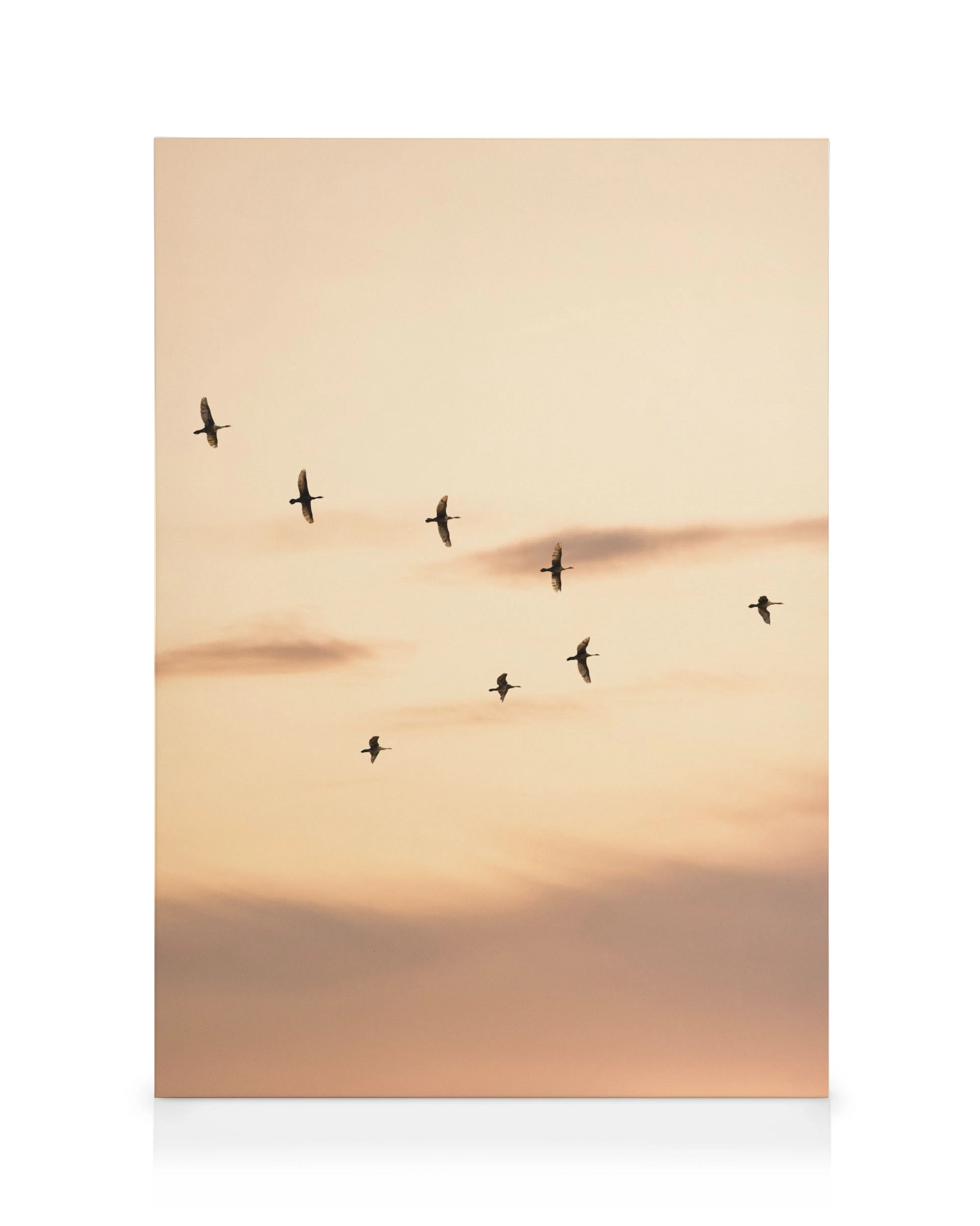 Migratory Birds Καμβάς 0