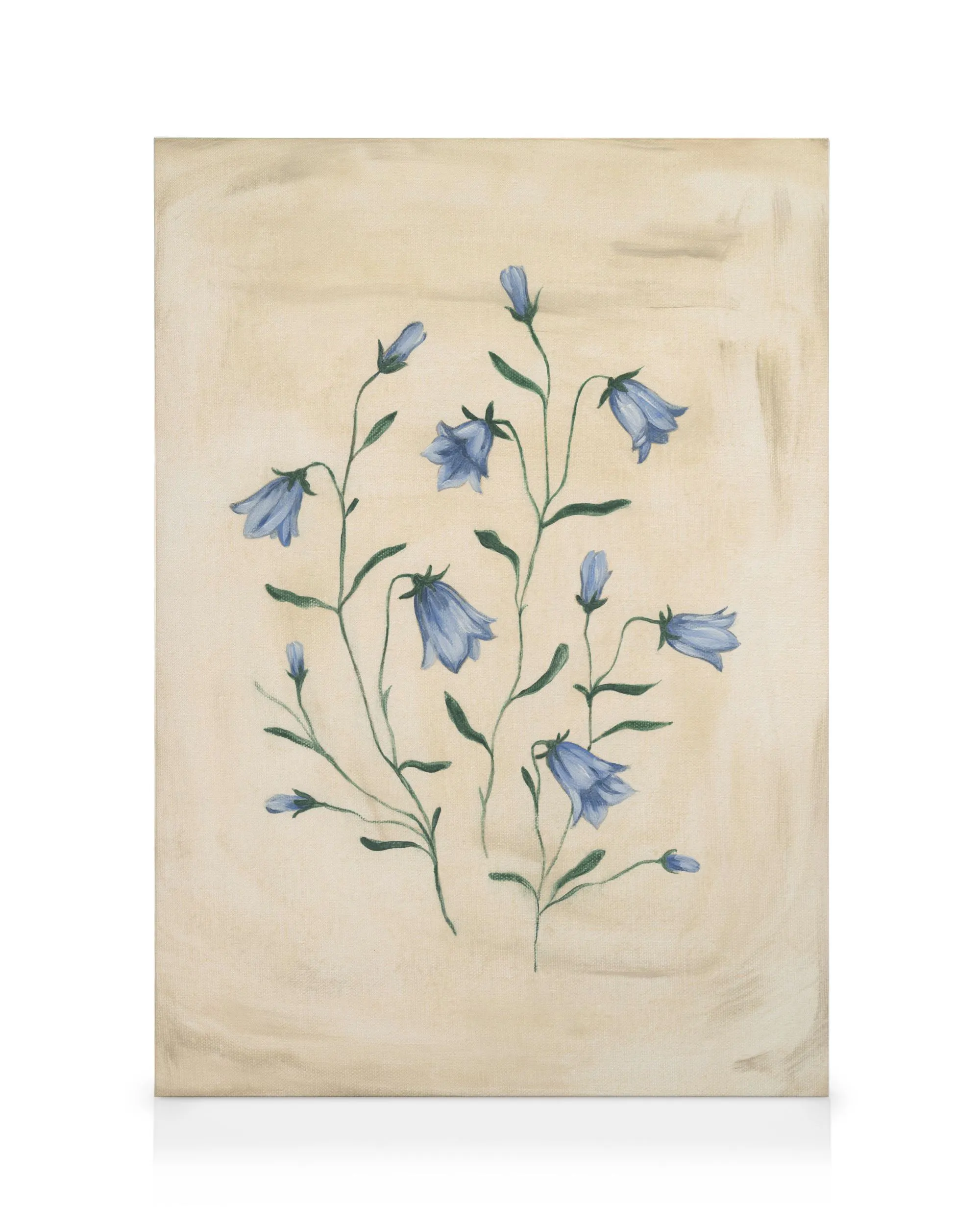 Bluebell Study Canvas 0