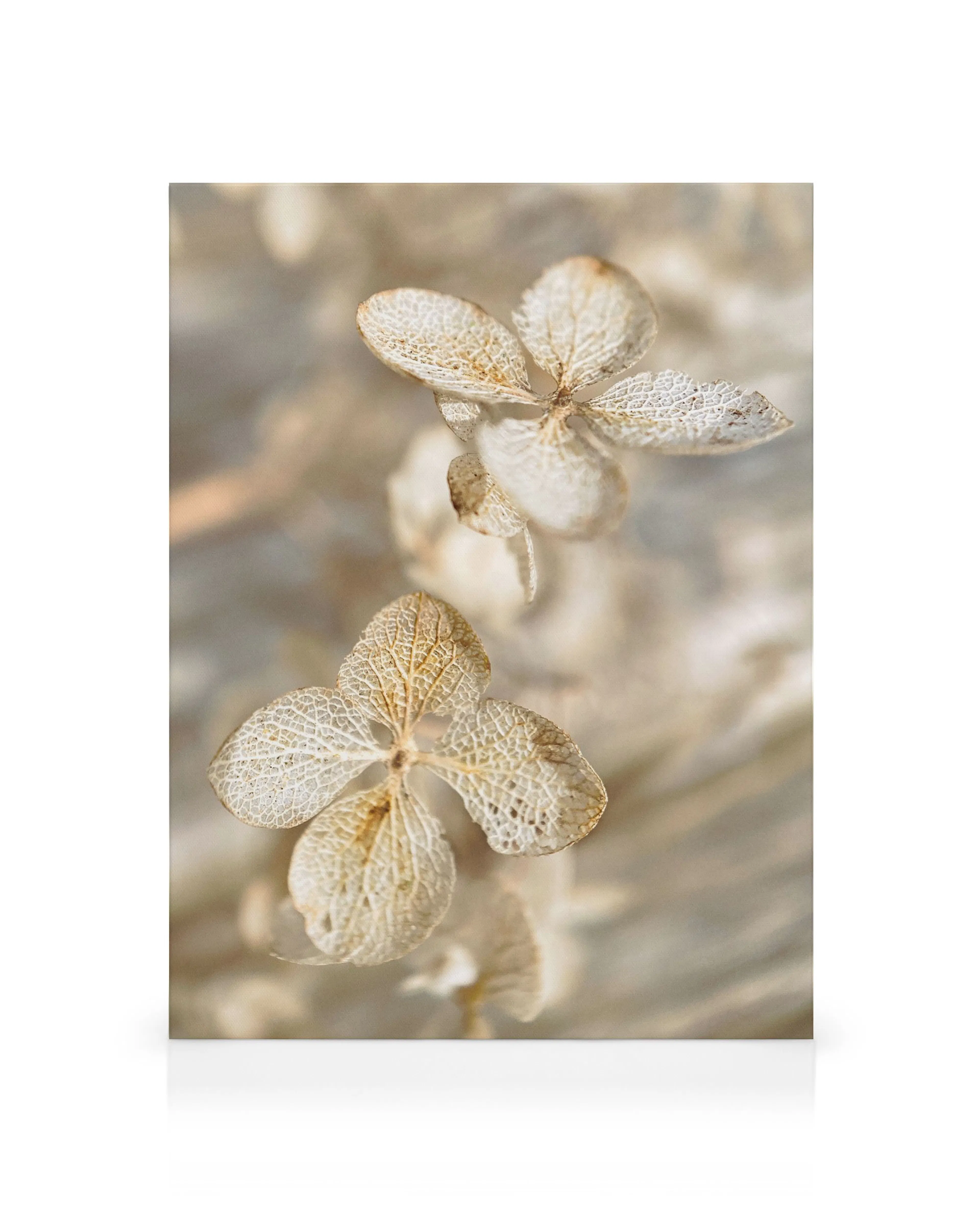 Product image: 1