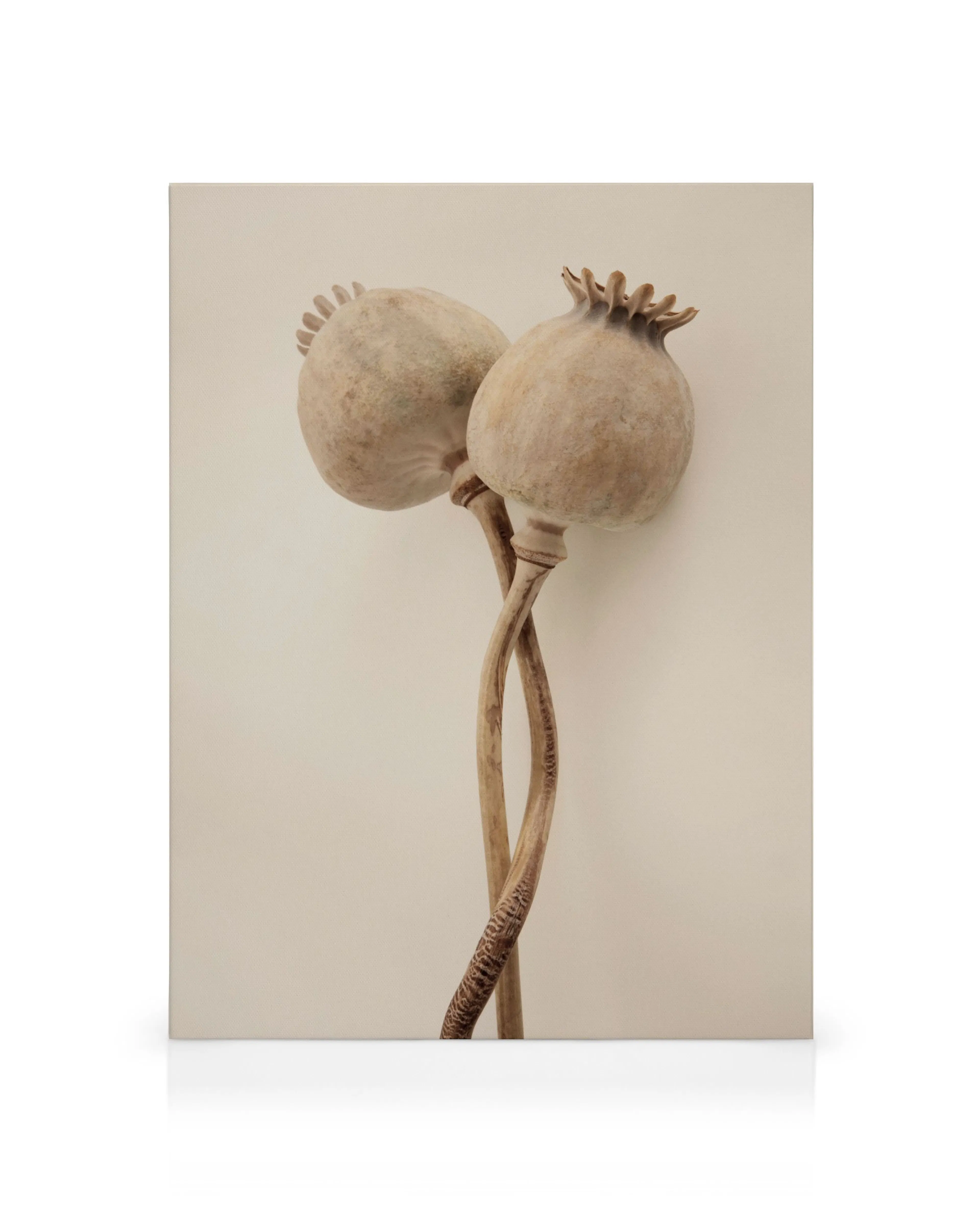 Product image: 1