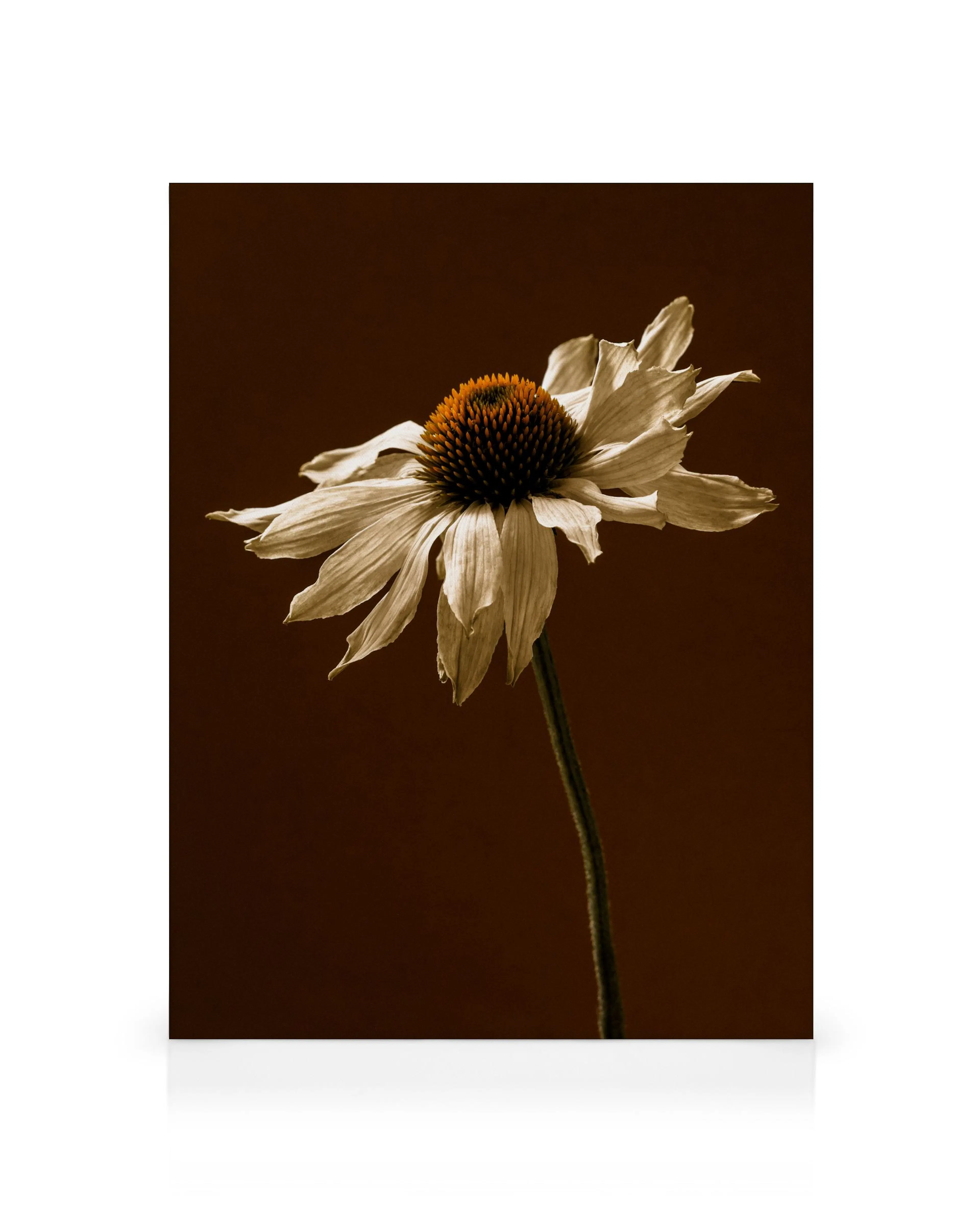 Product image: 1