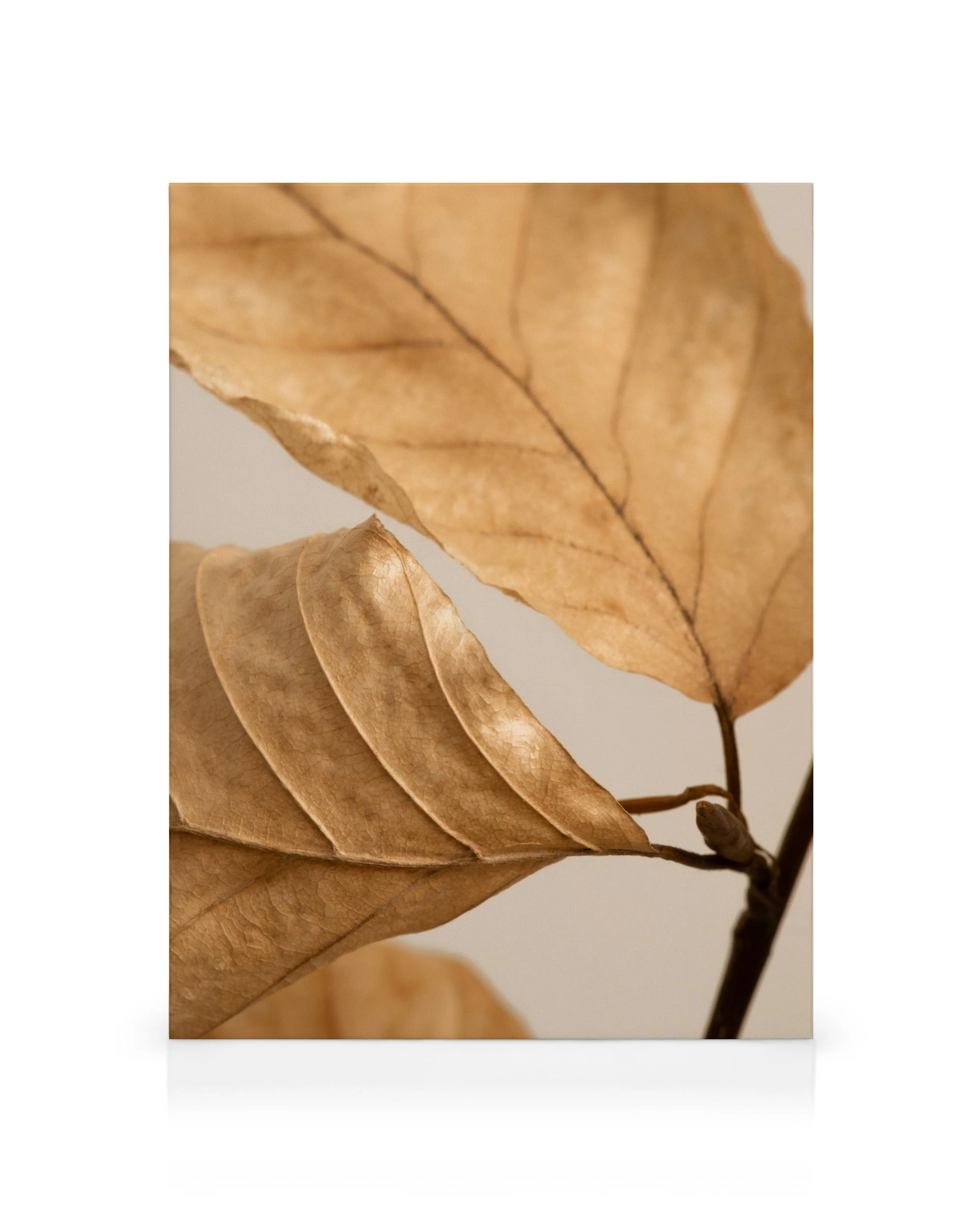 Product image: 1