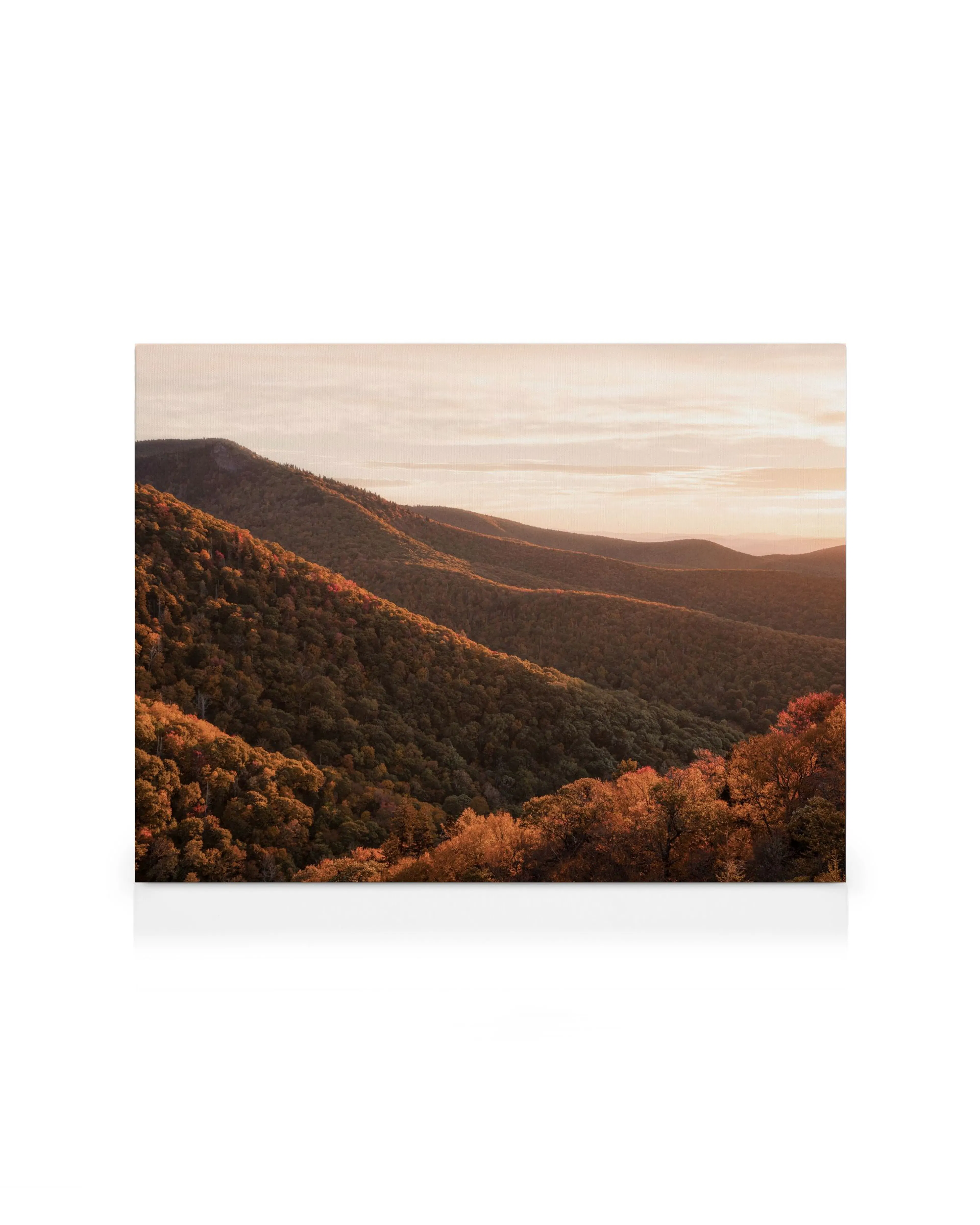 Product image: 1