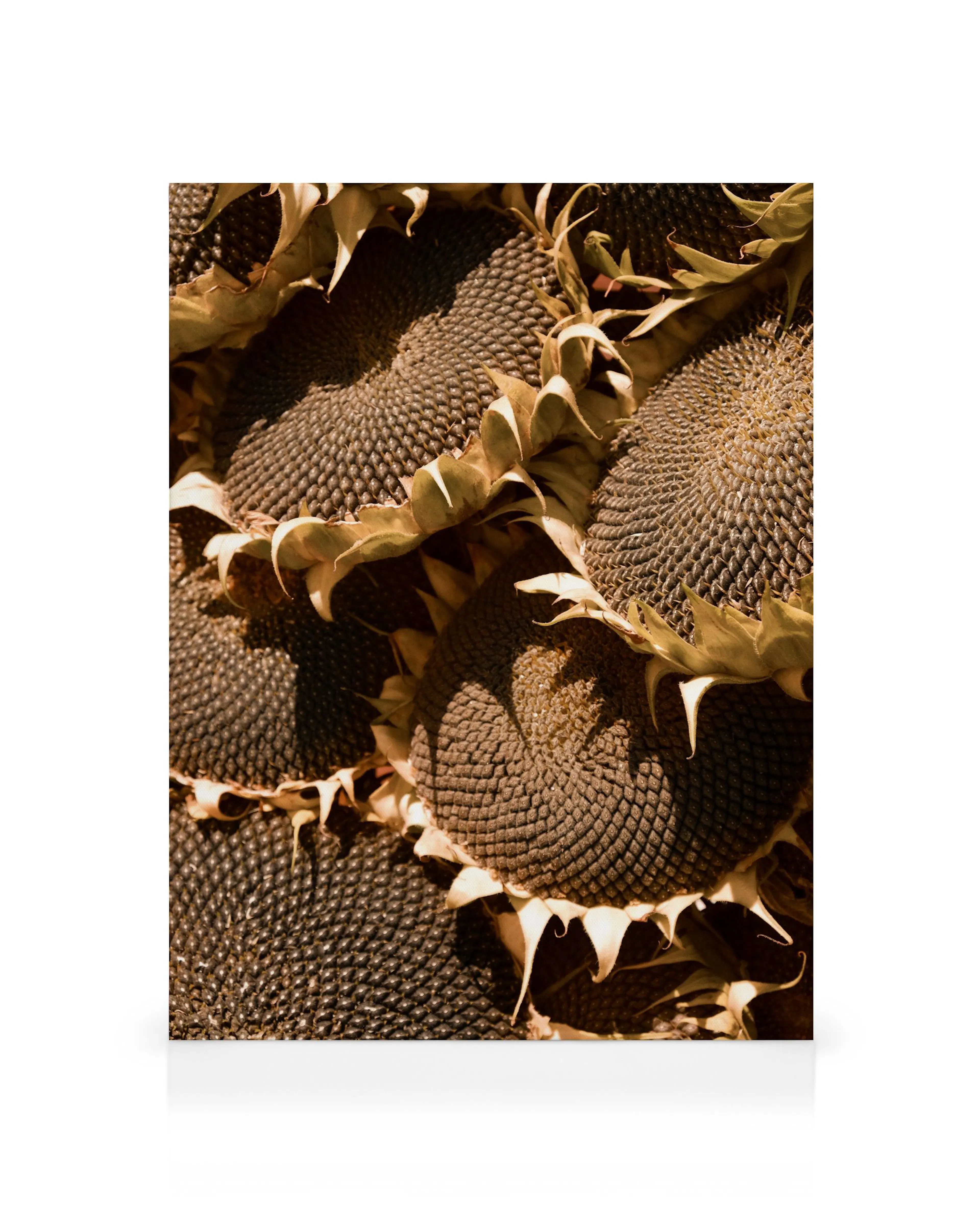 Product image: 1
