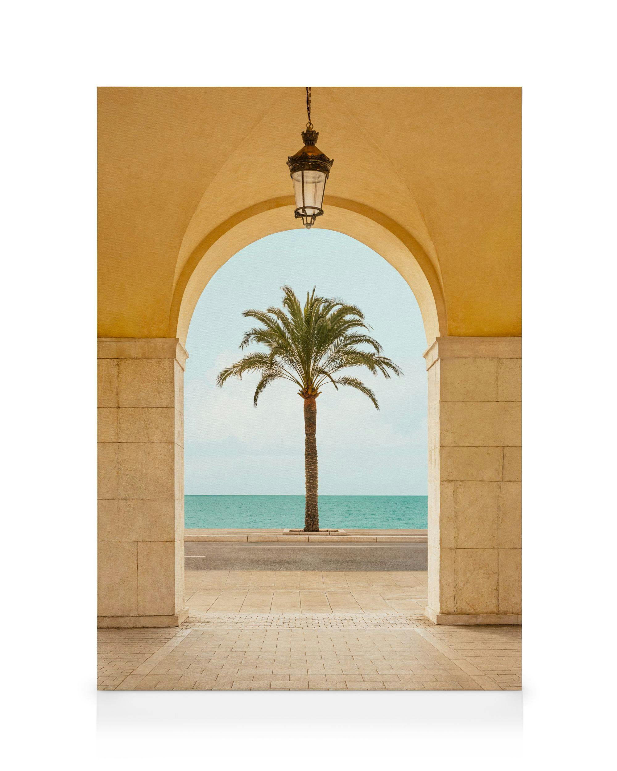 Canvas Prints Palm Portal Canvas print (30x40 cm)
