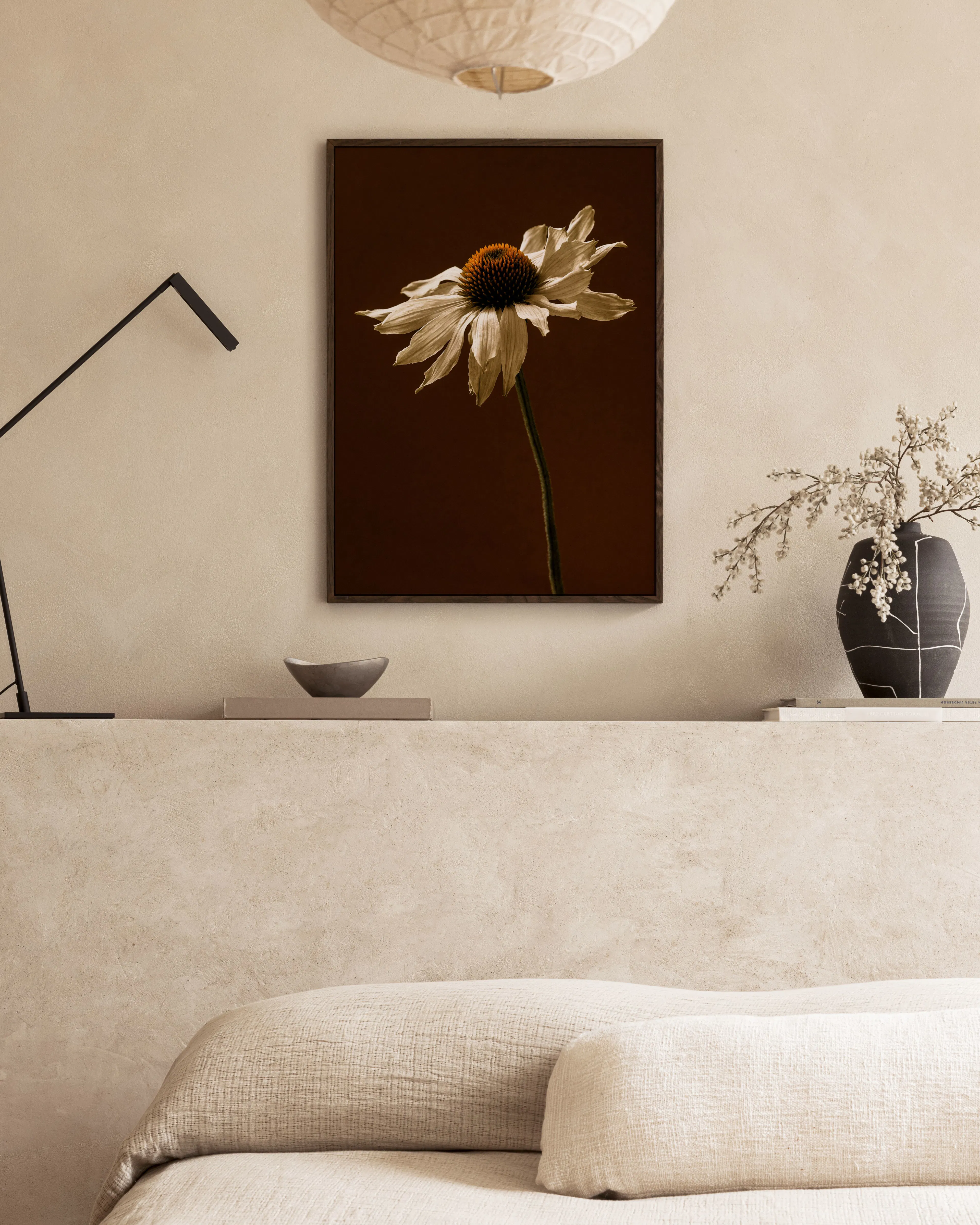 End of Bloom, Art Floral Marguerite aux Pétales Blancs sur Fond Brun