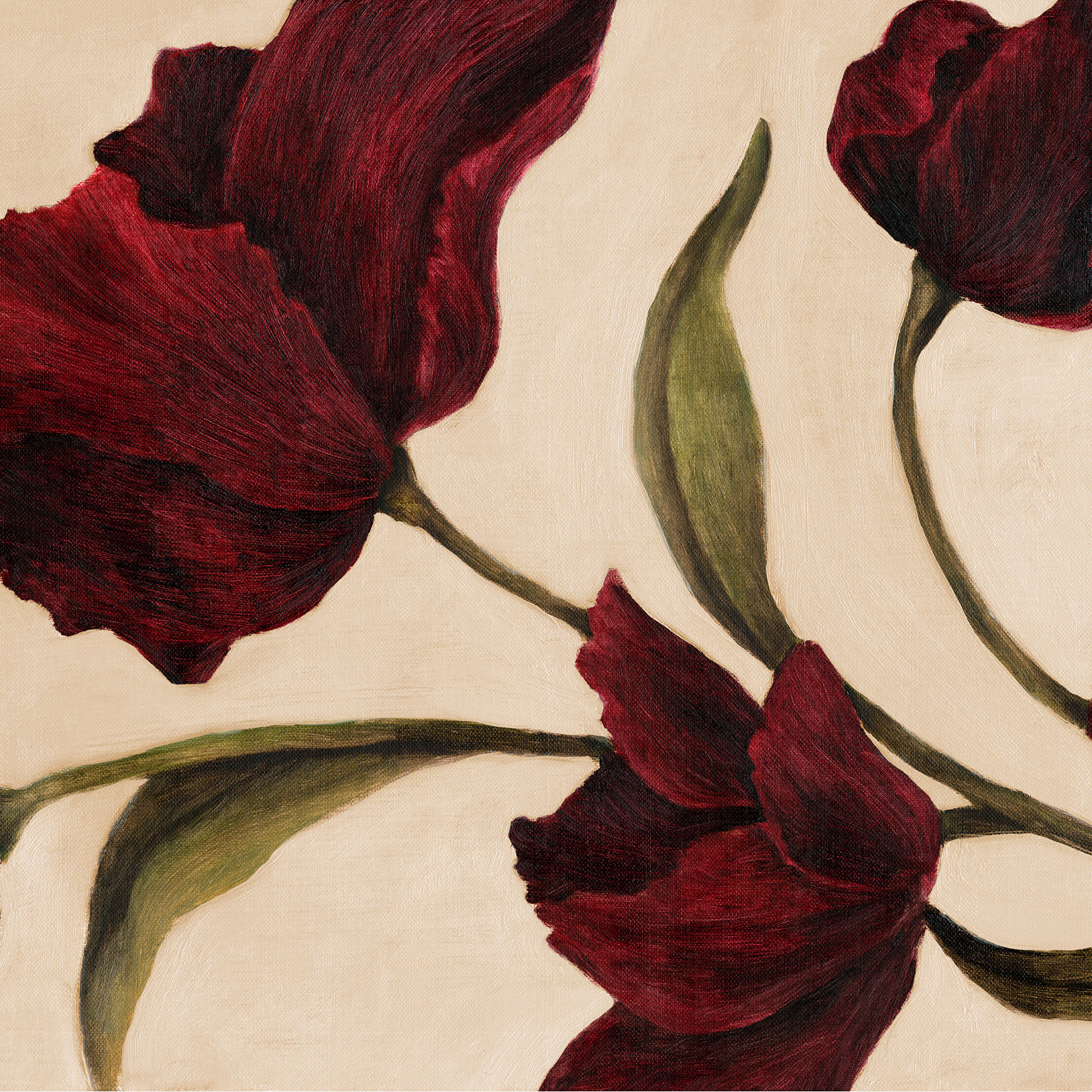 Velvet Bloom Print 0