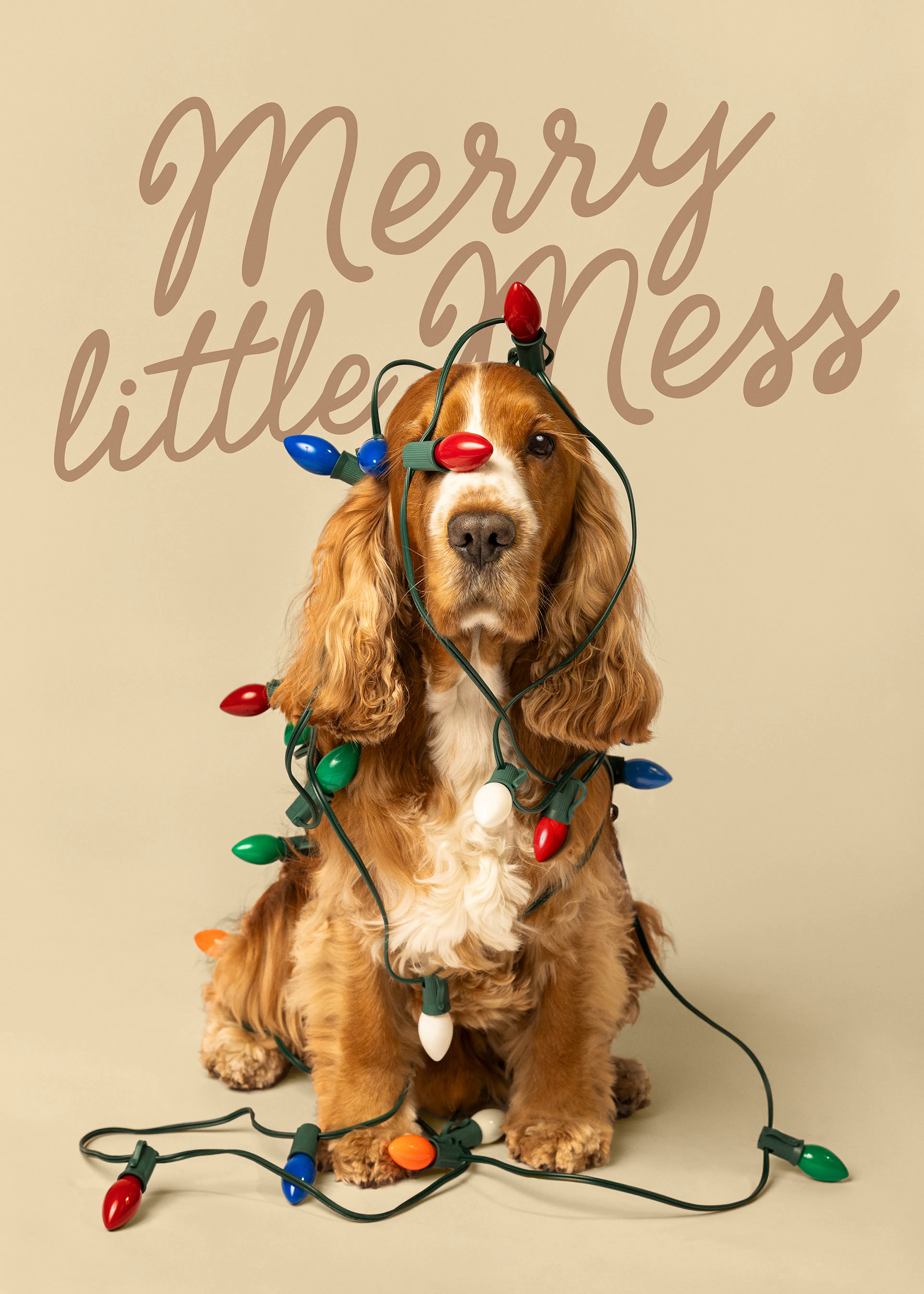 Merry Little Mess Print 0