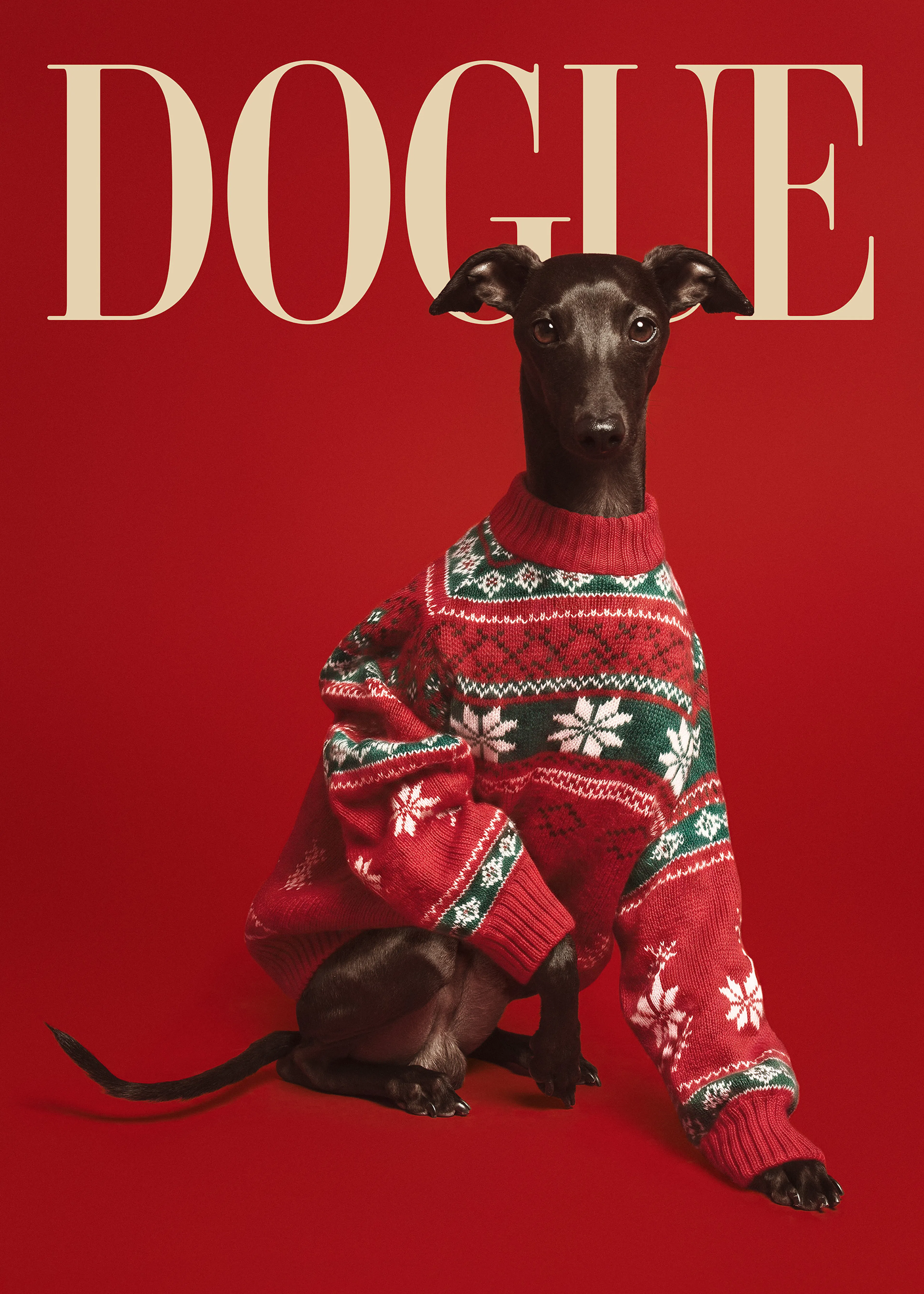 Dogue No7 Print 0