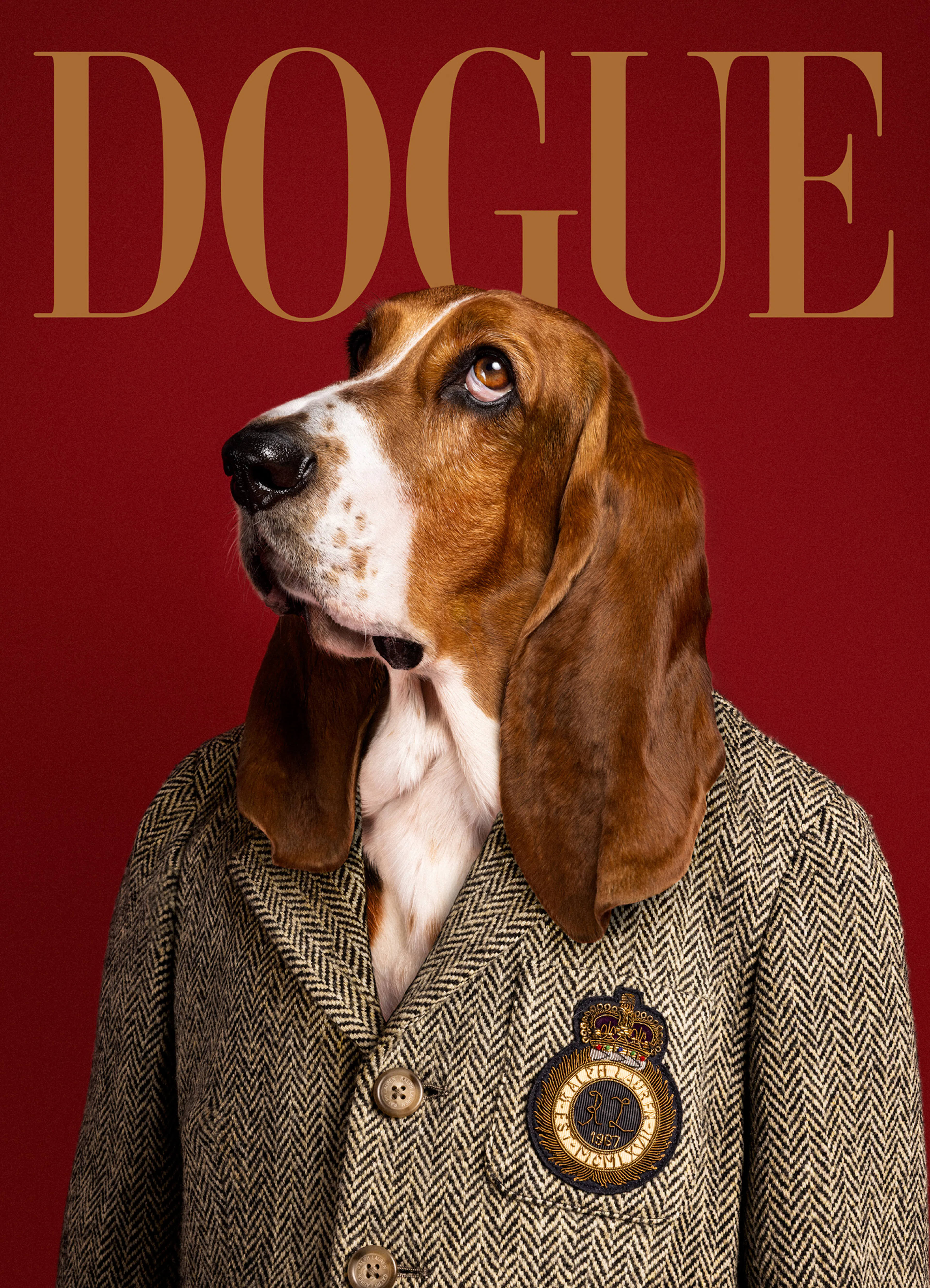 Dogue No8 Print 0