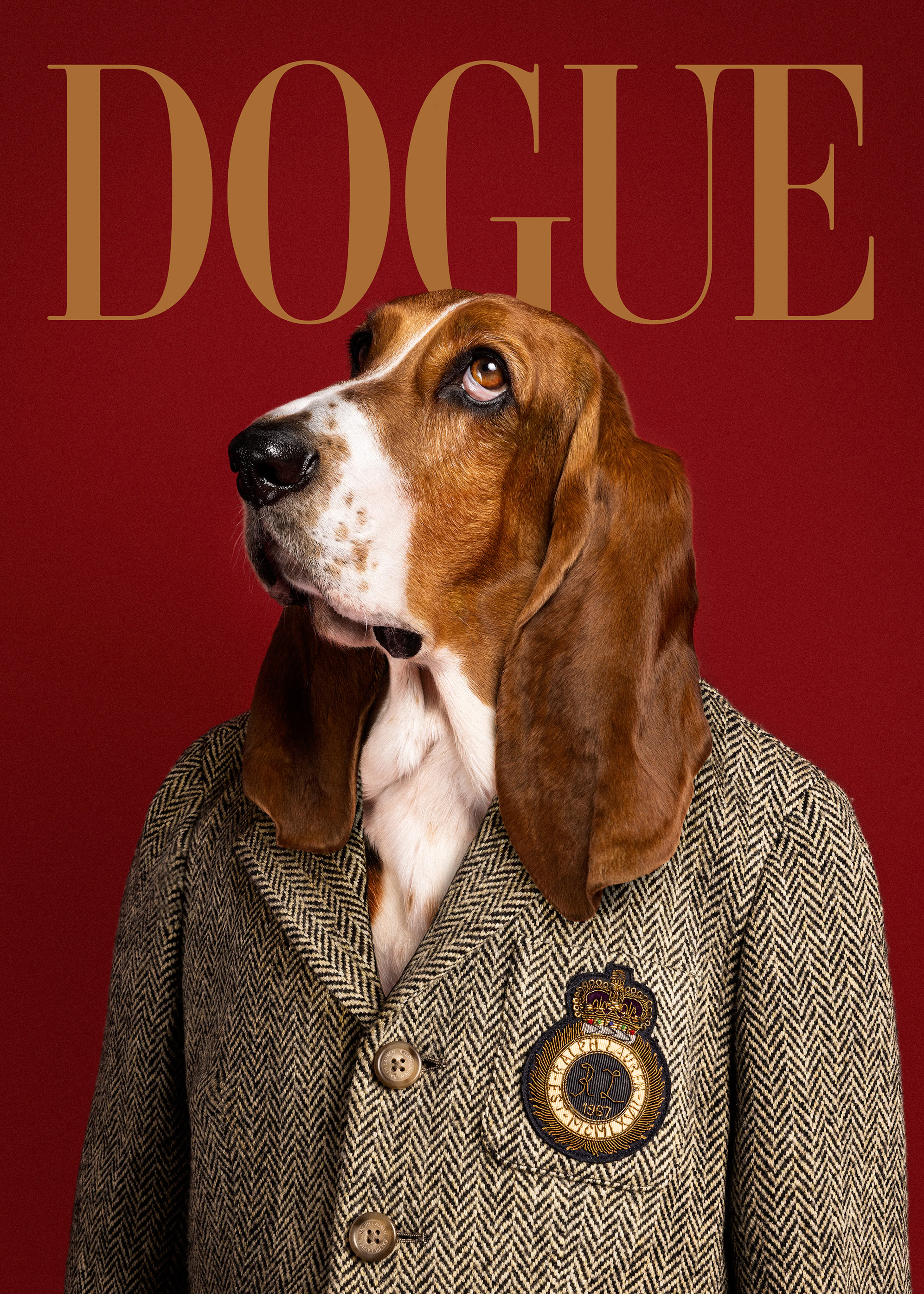 Dogue No8 Poster 0