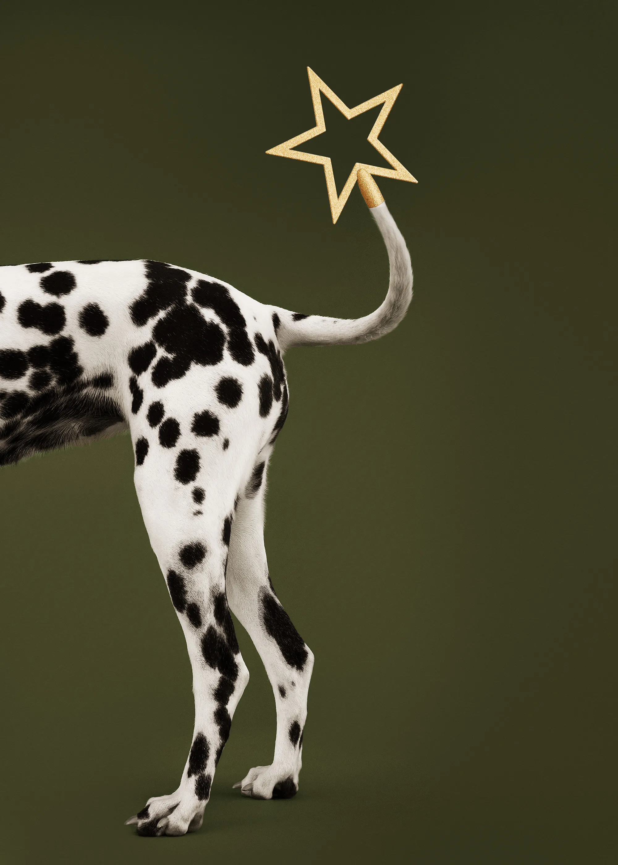 Tail of the Season Plakat 0