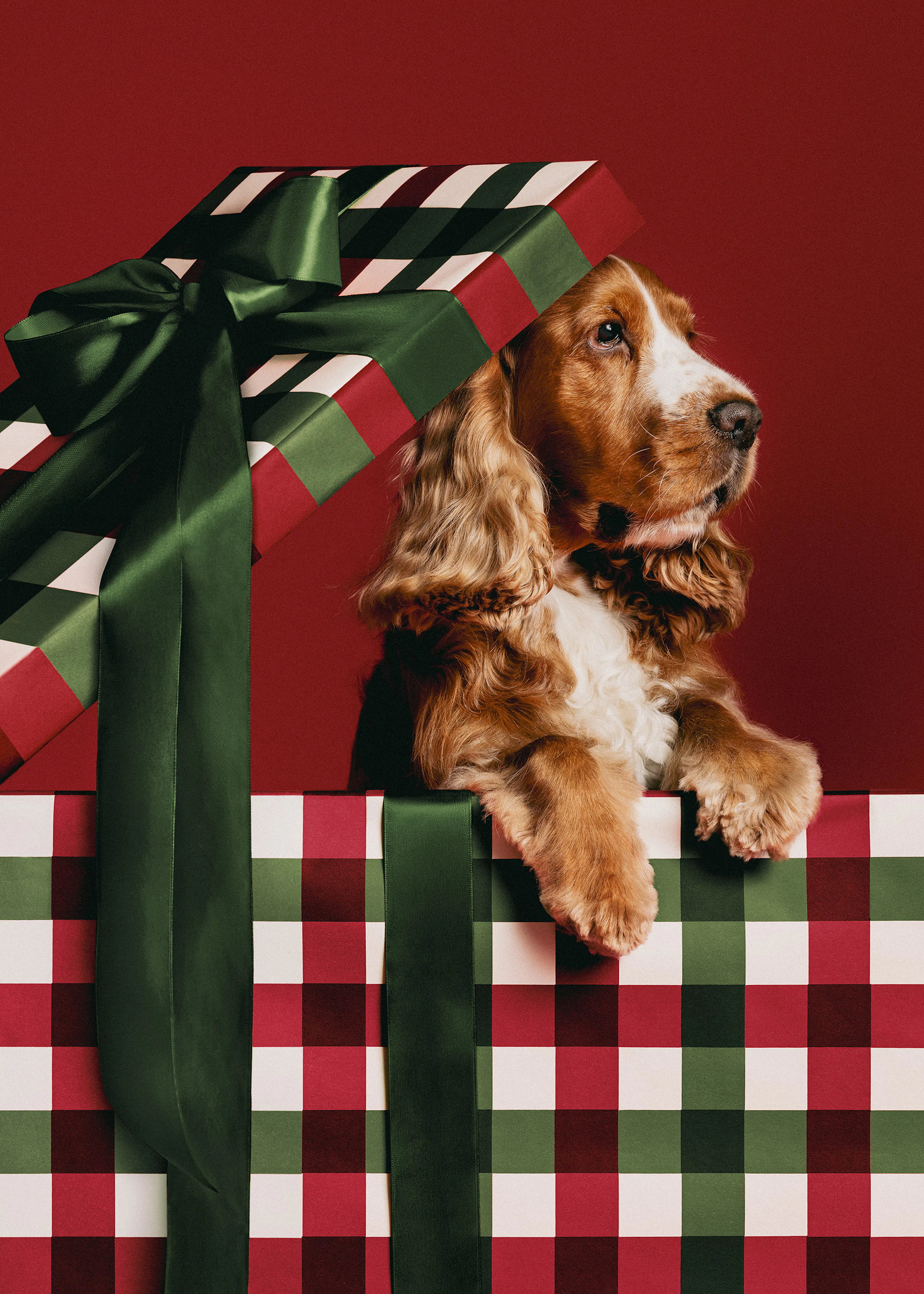 Holiday Surprise Print 0