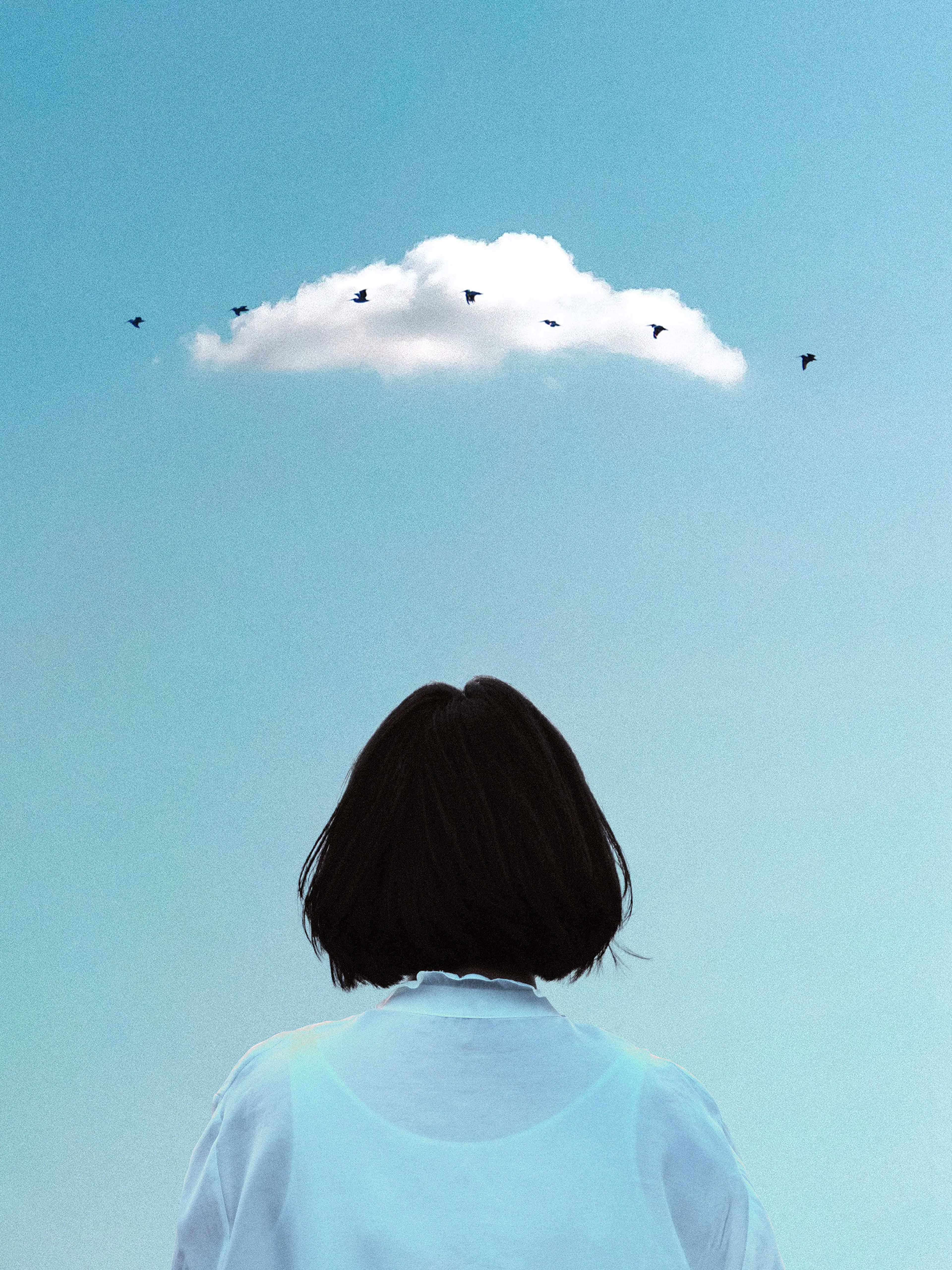 Joel Mellström - High Flying Birds Print 0
