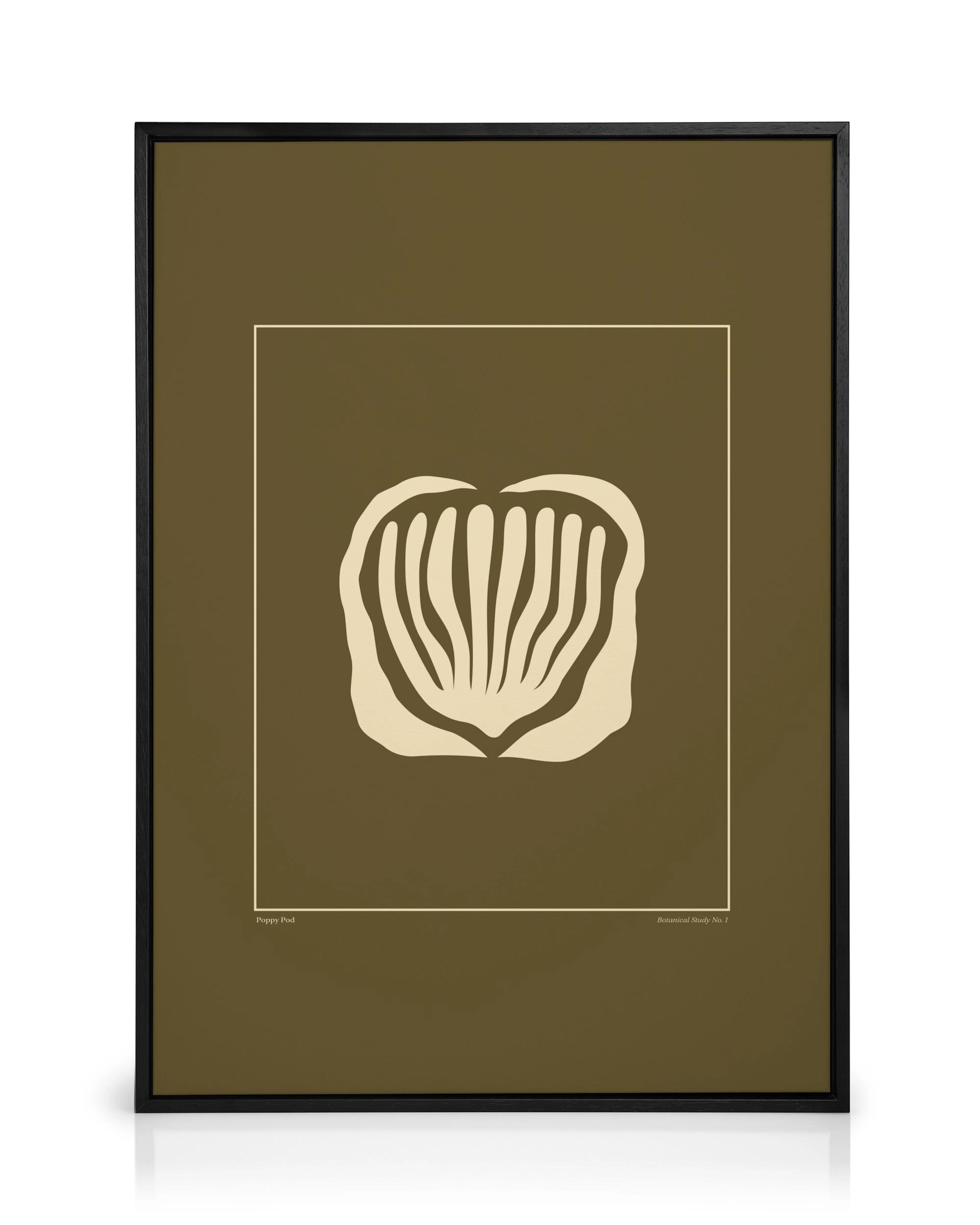 Poppy Pod Lienzo 0