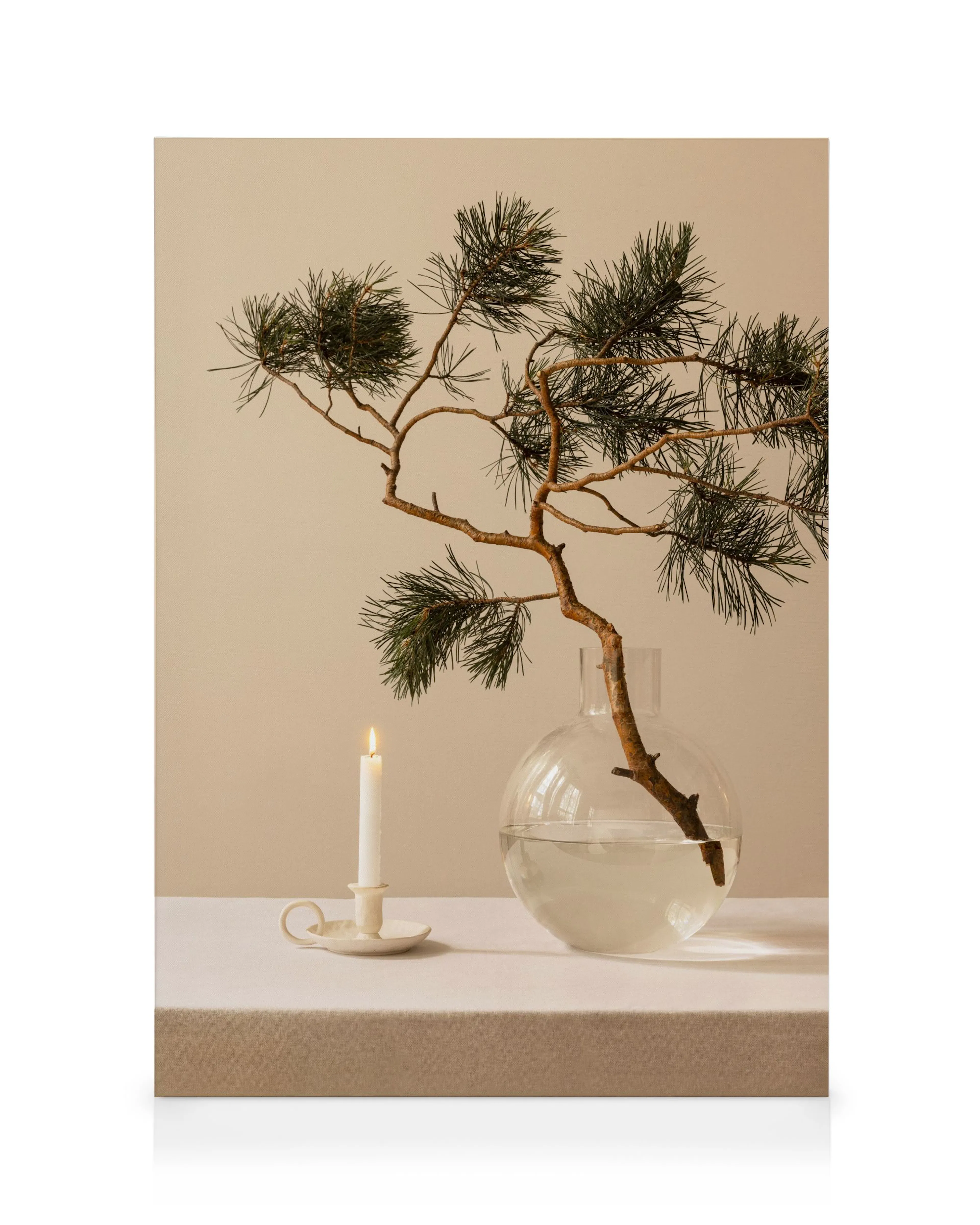 Nordic Pine Toile 0